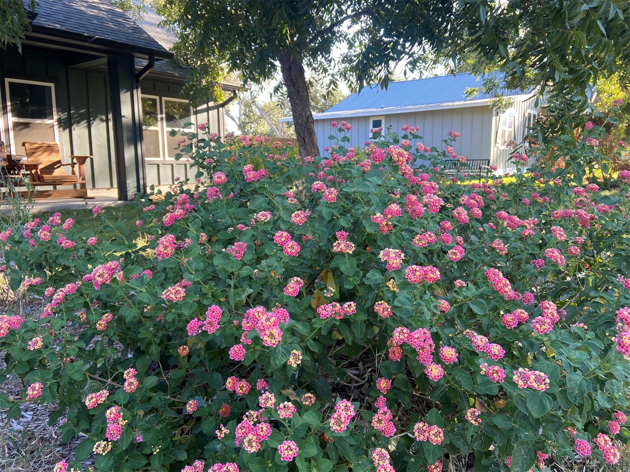 162 Friedens Church Rd, Seguin, TX 78155