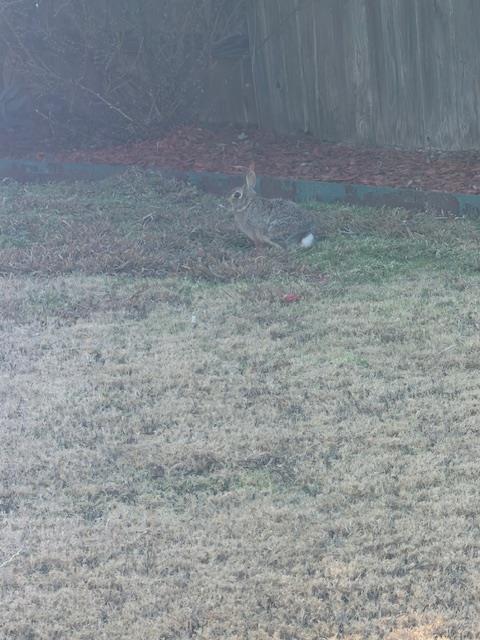 19112 Scoria Dr, Pflugerville, TX 78660