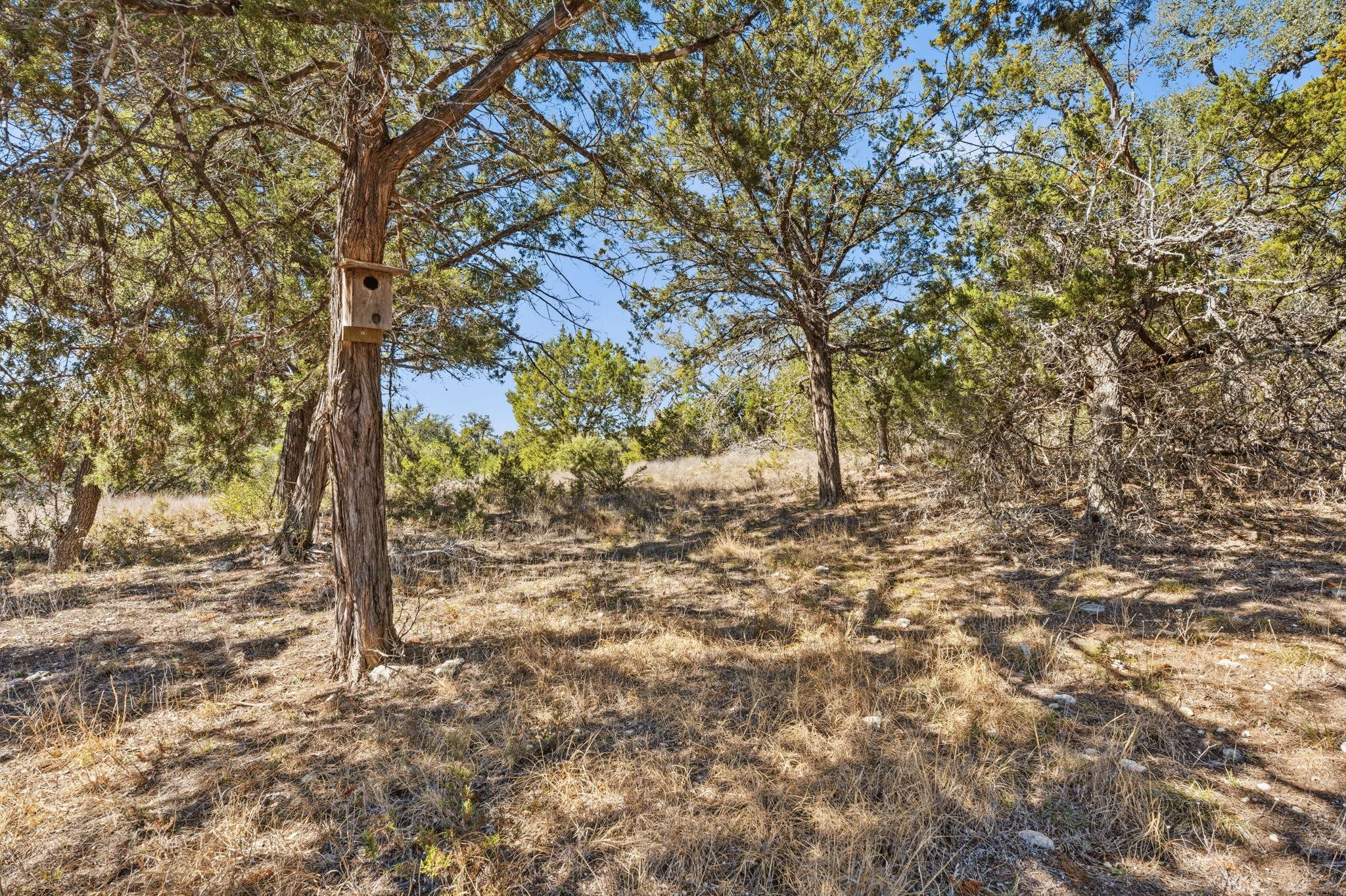 4215 W US 290, Dripping Springs, TX 78620