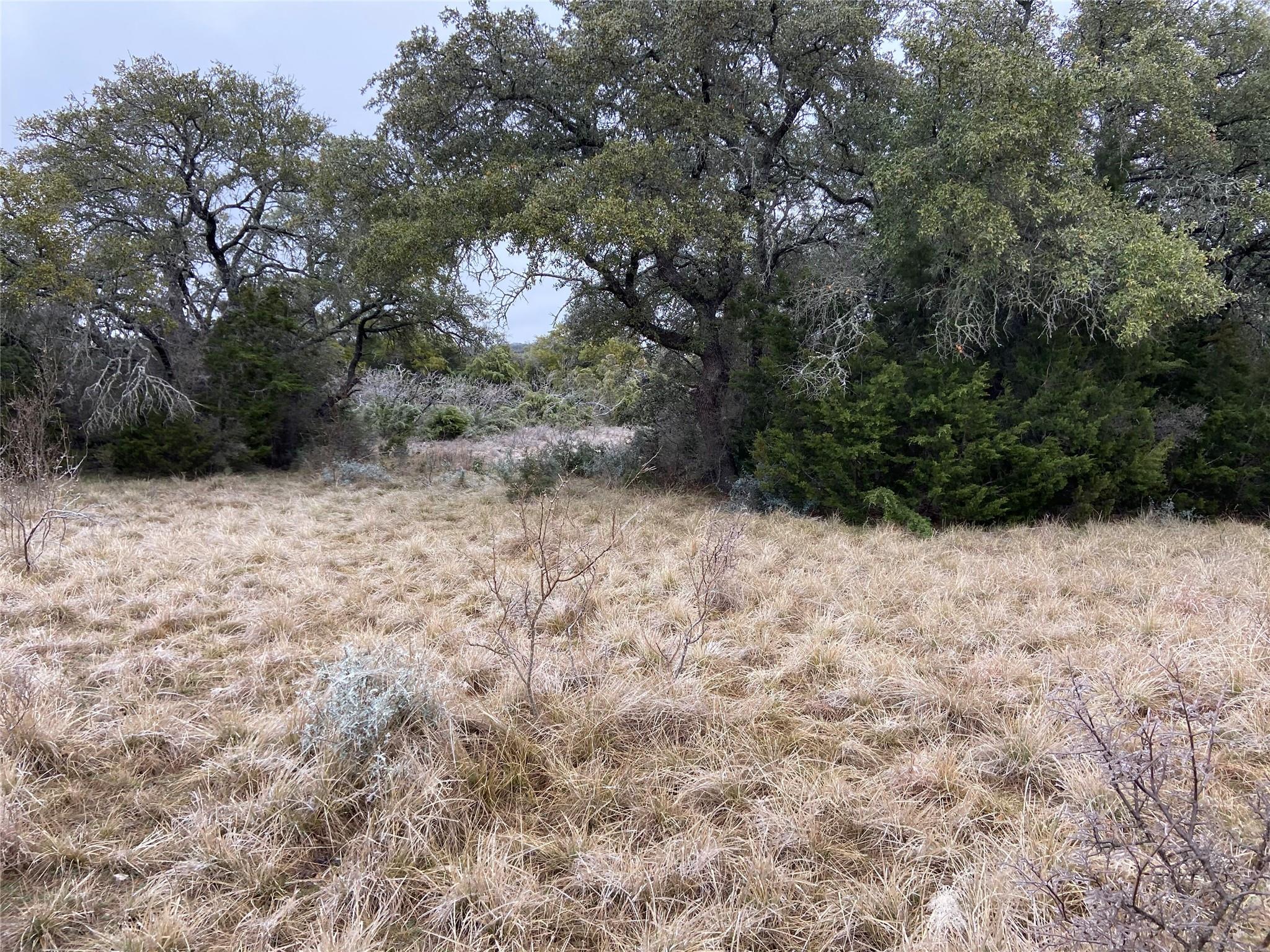 TBD County Road 450, Rocksprings, TX 78880