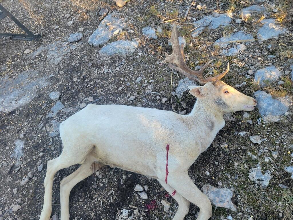 TBD County Road 450, Rocksprings, TX 78880