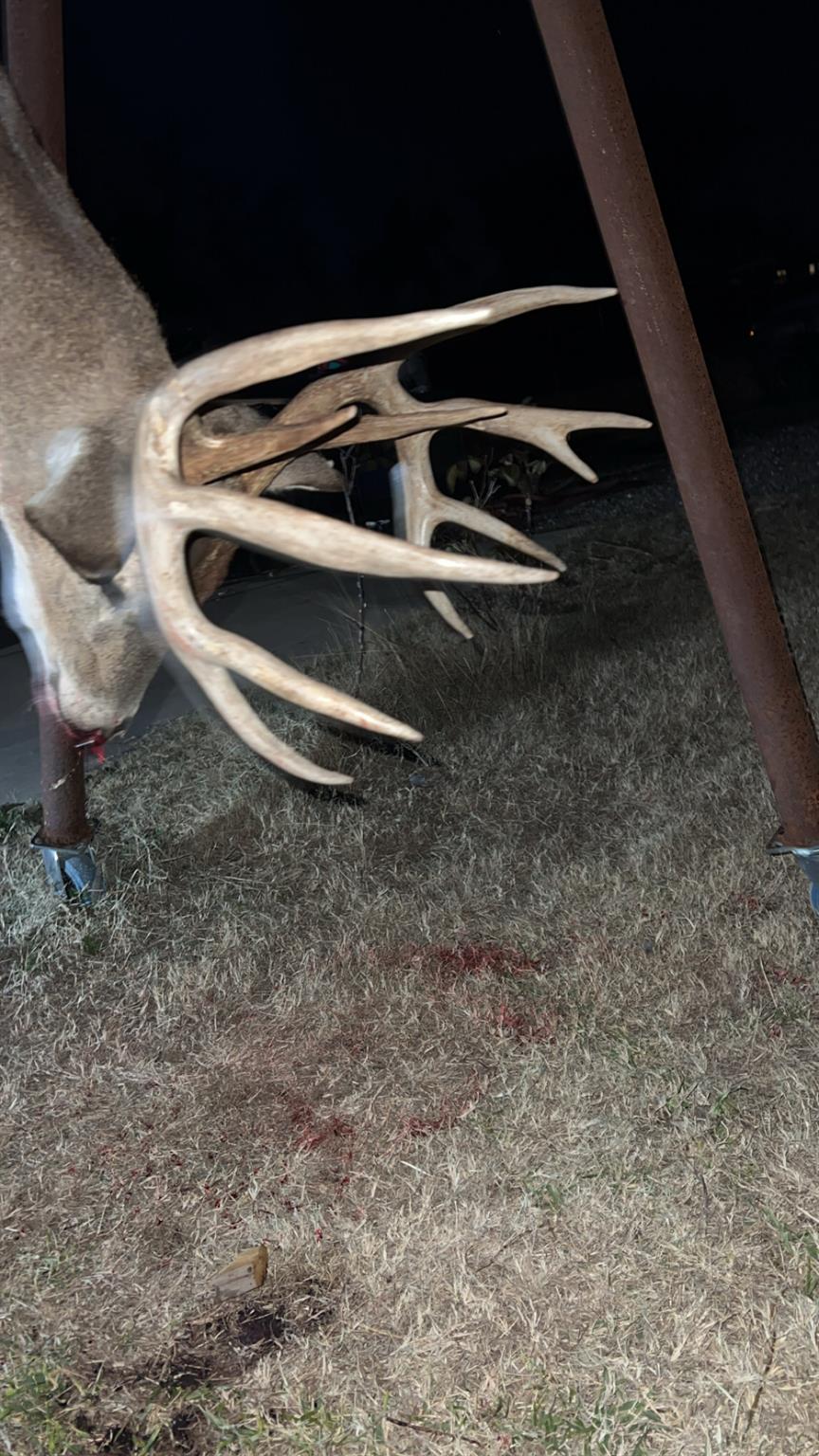 TBD County Road 450, Rocksprings, TX 78880