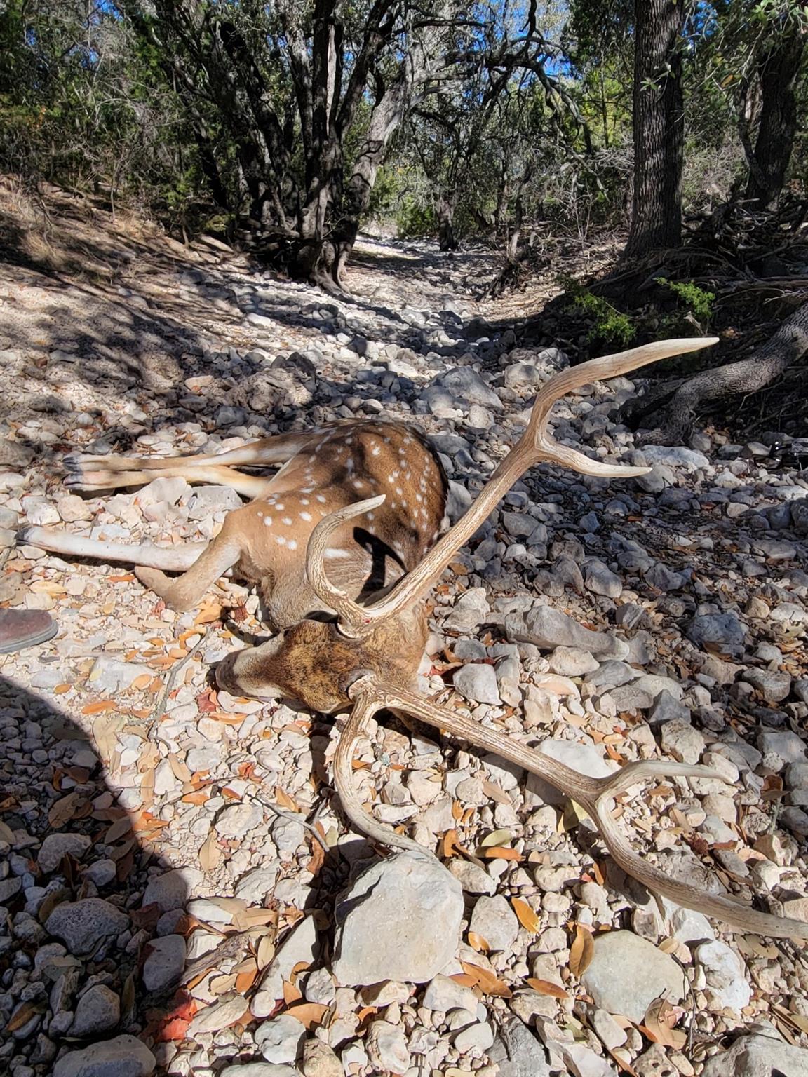 TBD County Road 450, Rocksprings, TX 78880