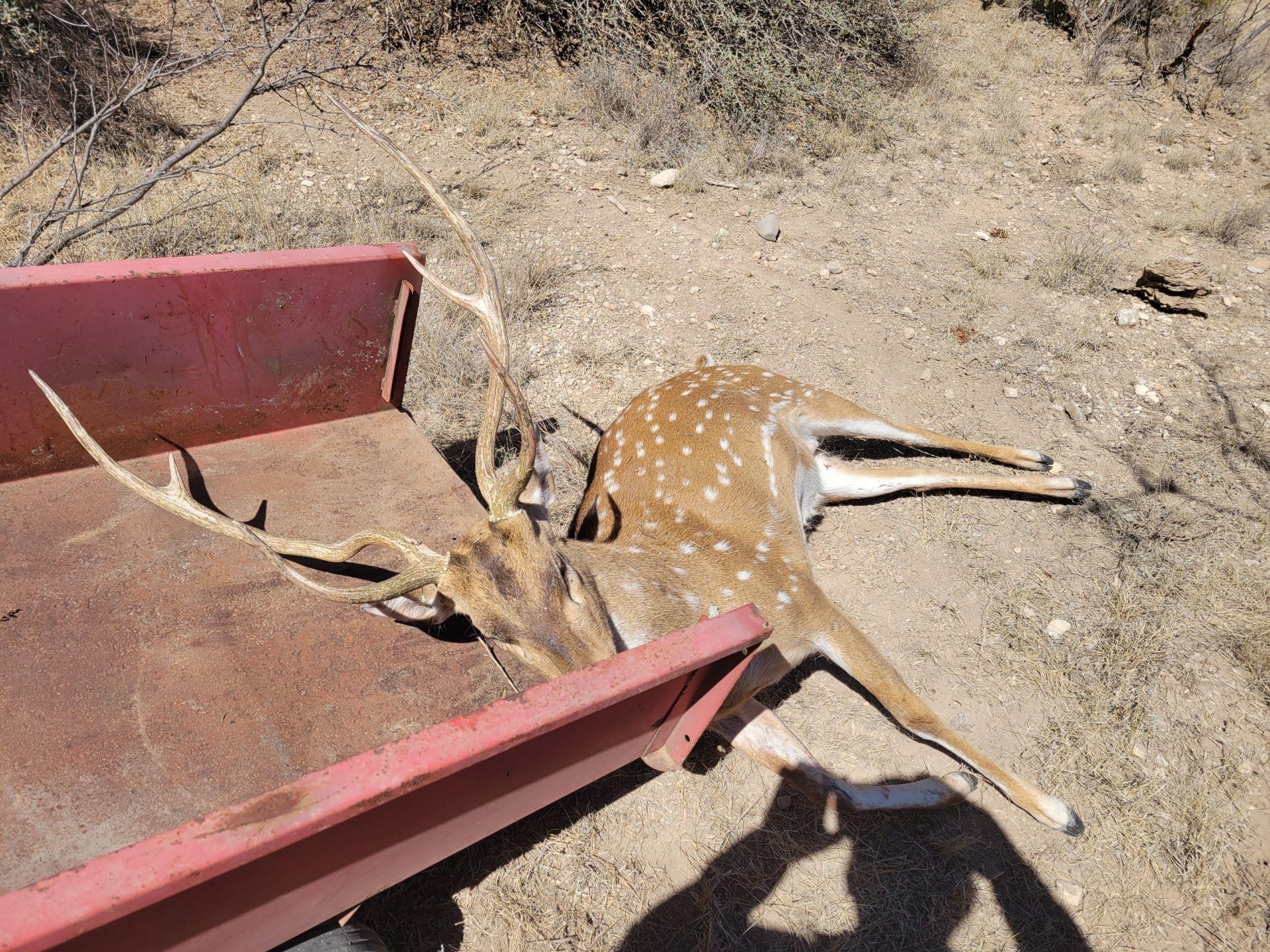 TBD County Road 450, Rocksprings, TX 78880