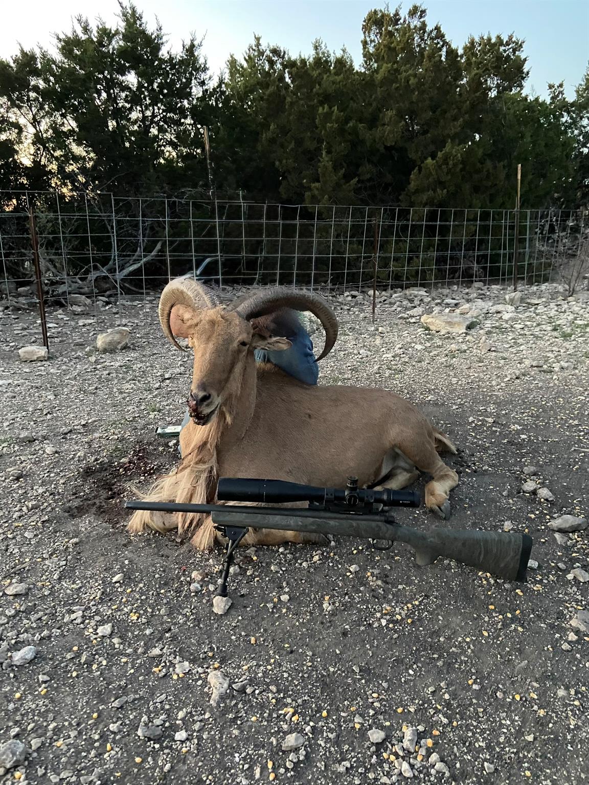 TBD County Road 450, Rocksprings, TX 78880