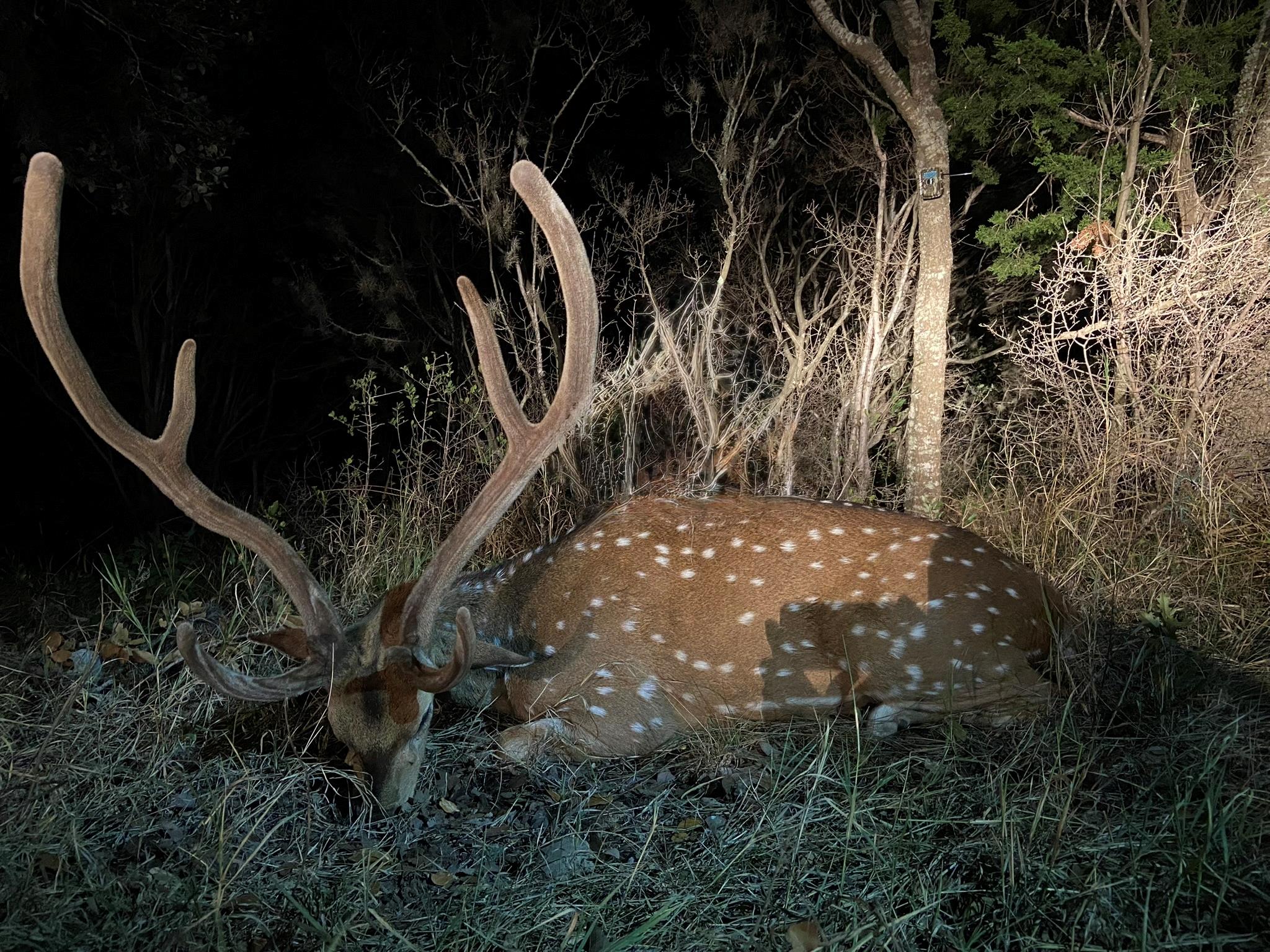 TBD County Road 450, Rocksprings, TX 78880