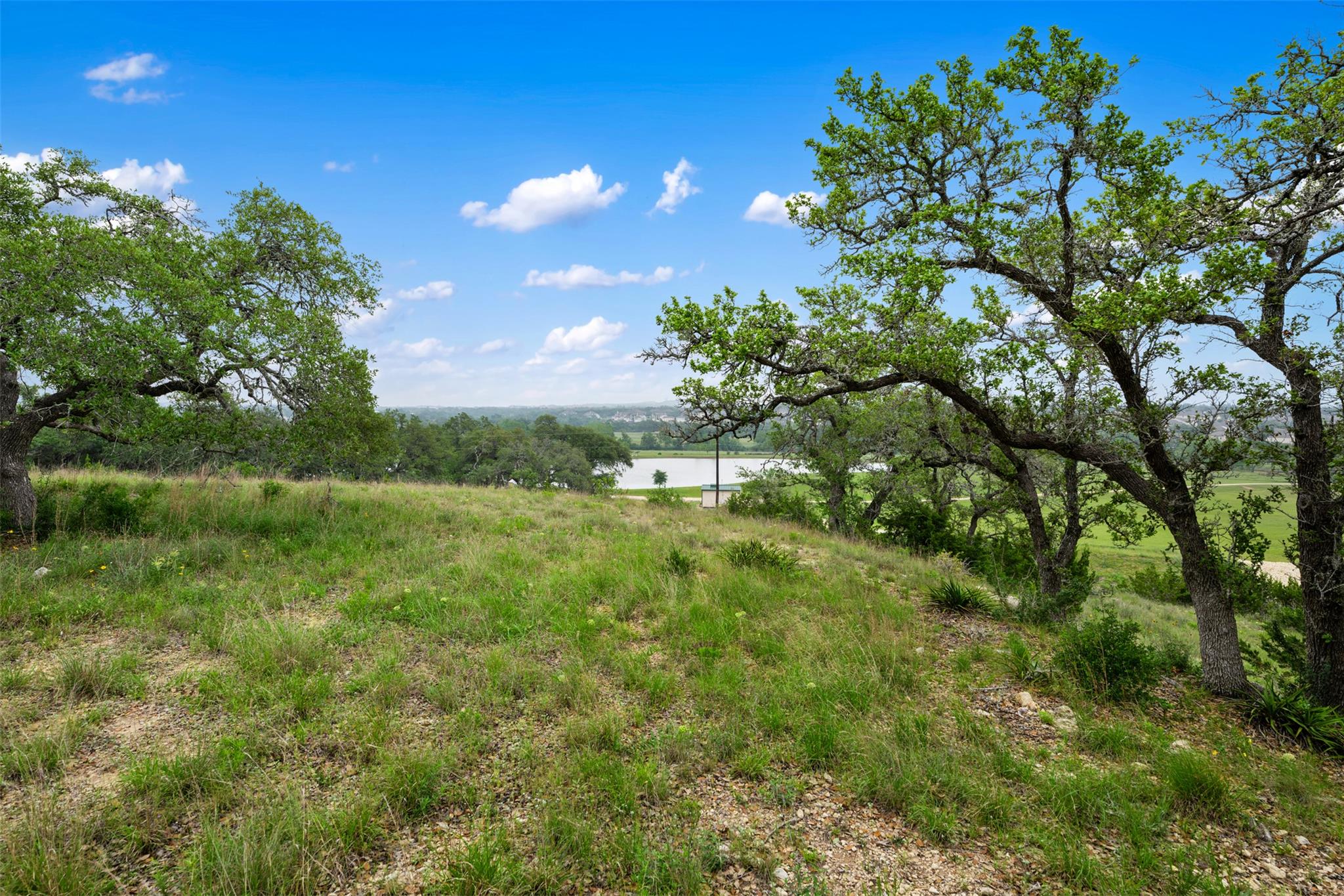 369 SW Crosswater Ln, Dripping Springs, TX 78620
