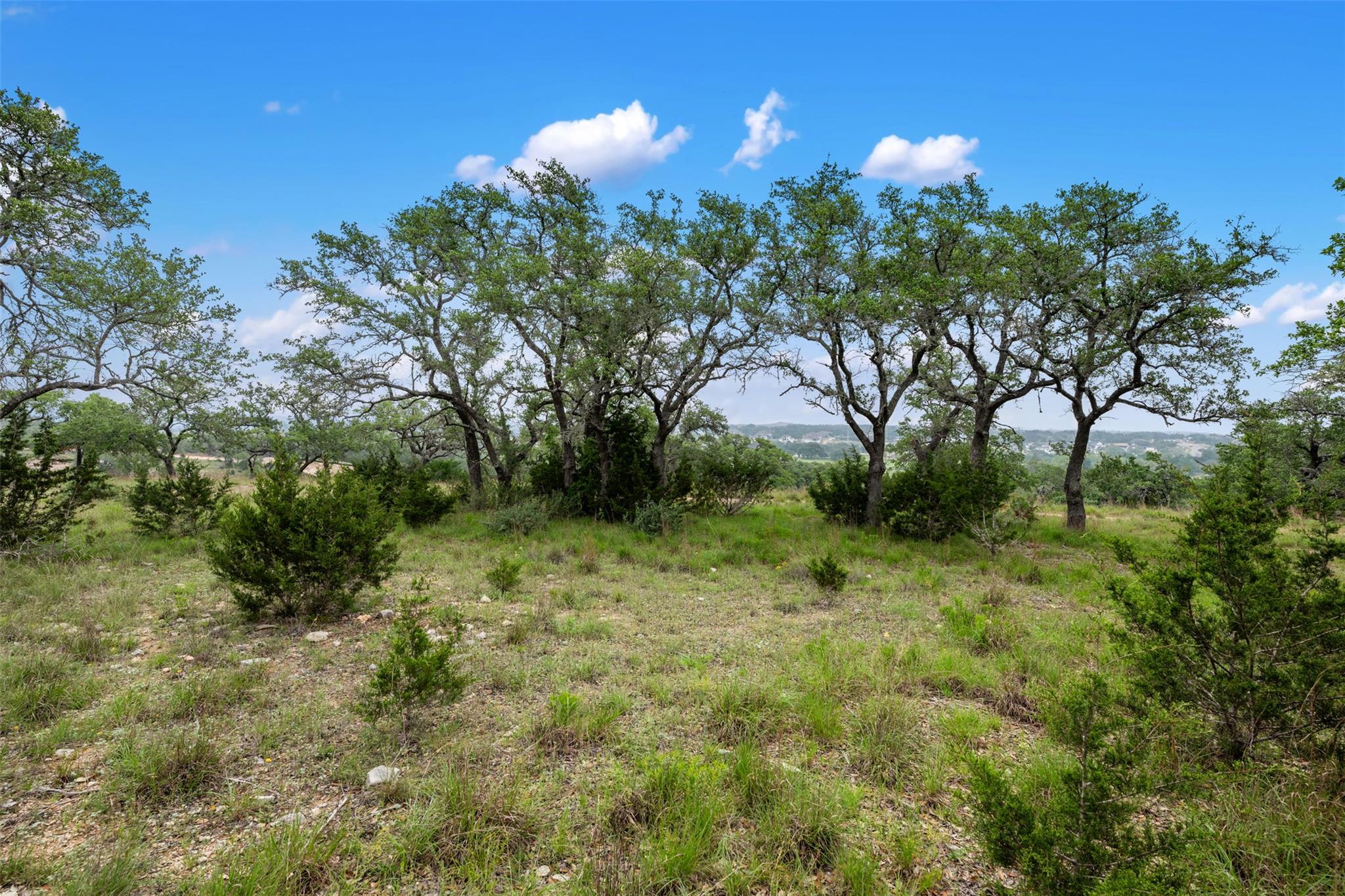 155 Crosswater Ln, Dripping Springs, TX 78620