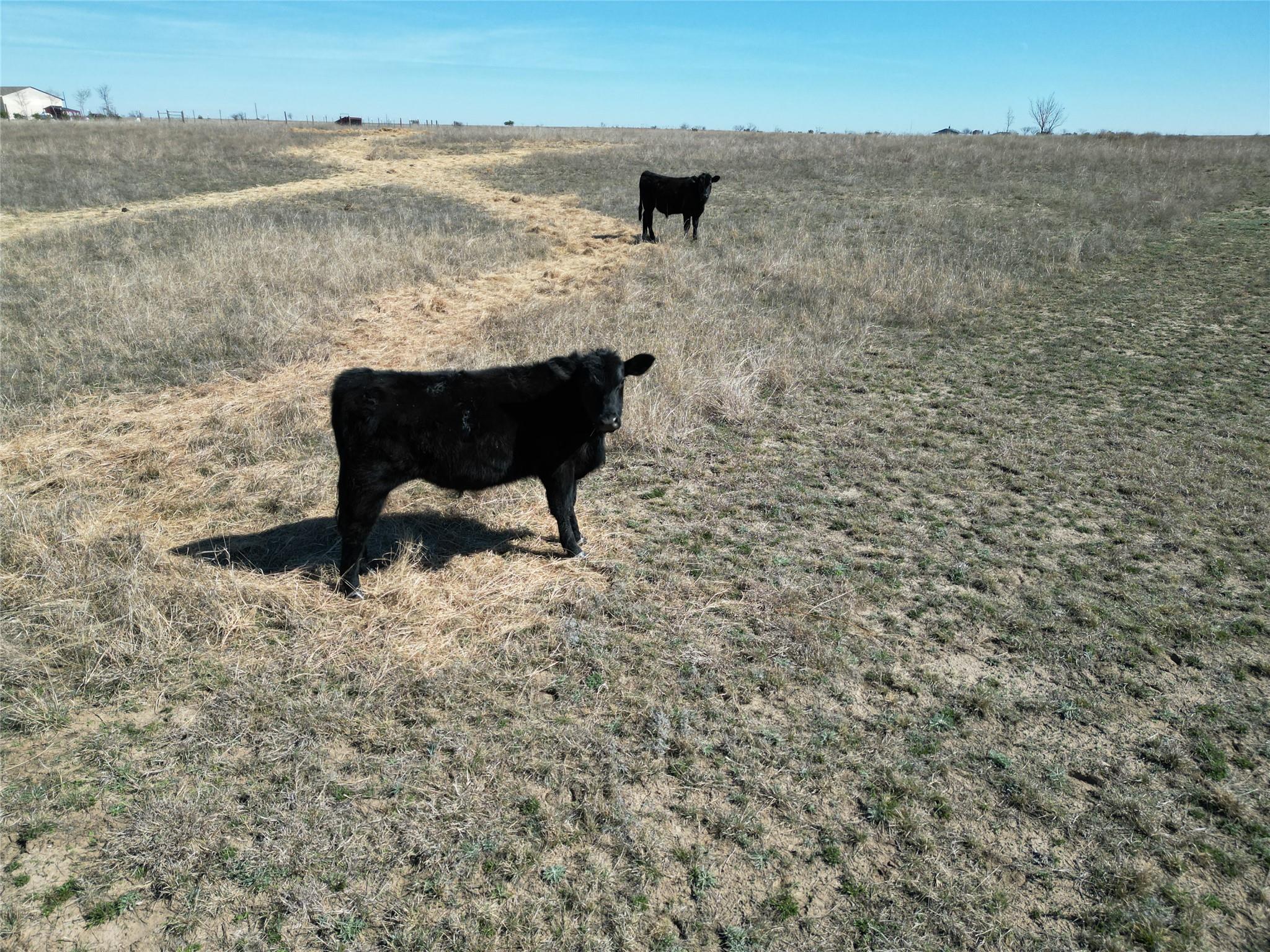 2332 County Road 2109, Lometa, TX 76853