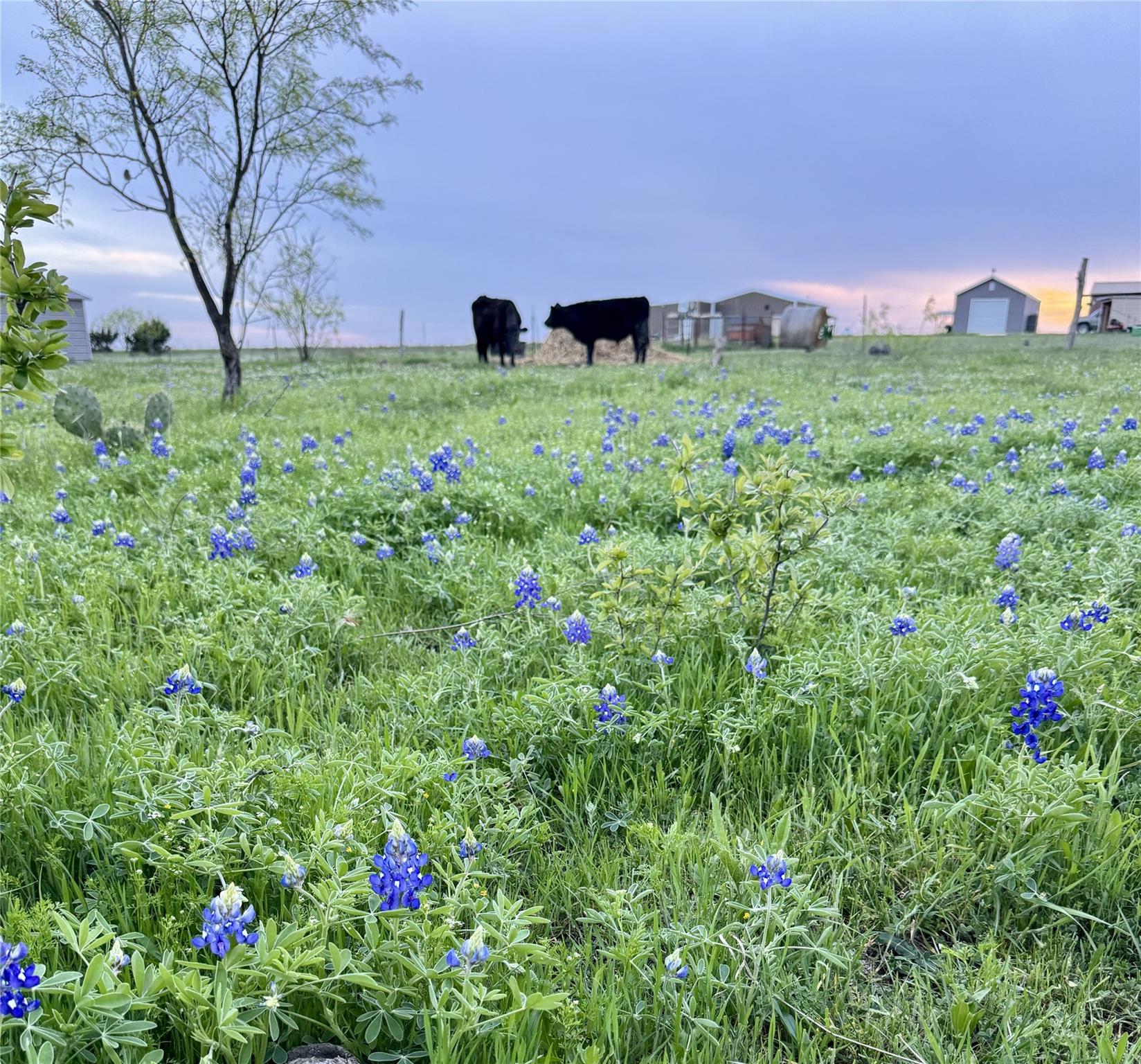 2332 County Road 2109, Lometa, TX 76853