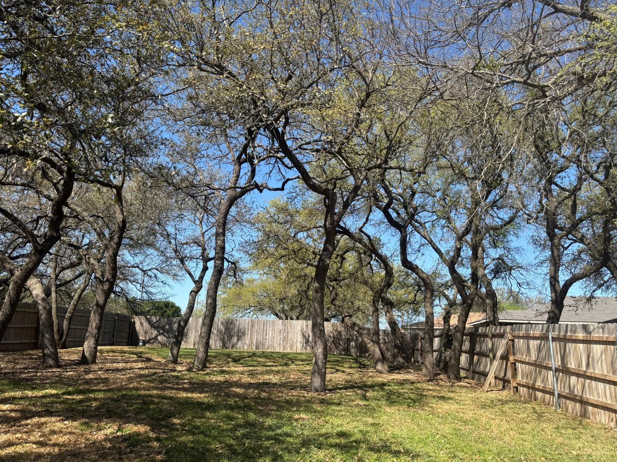 3003 Blackburn Dr, Killeen, TX 76543