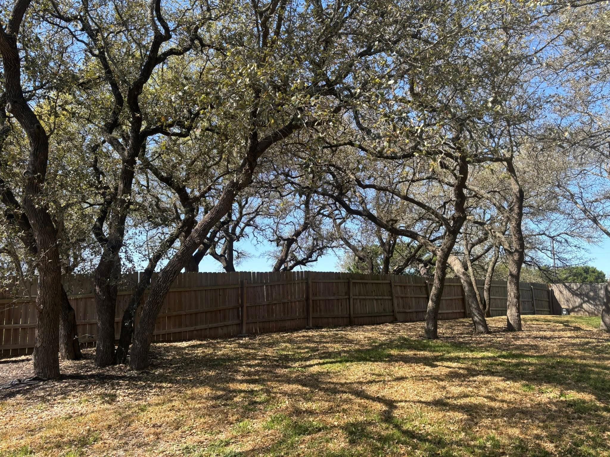 3003 Blackburn Dr, Killeen, TX 76543