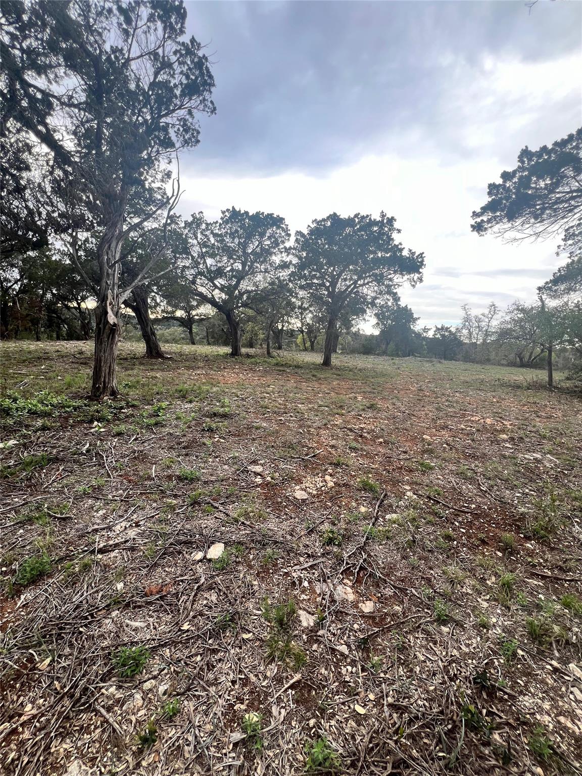 19705 Tyler Trl, Leander, TX 78645