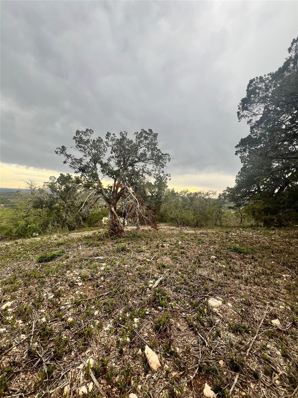 19705 Tyler Trl, Leander, TX 78645