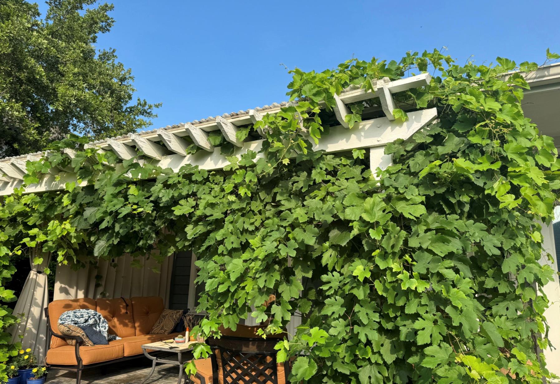 4200 Vista Corta Dr, Lago Vista, TX 78645