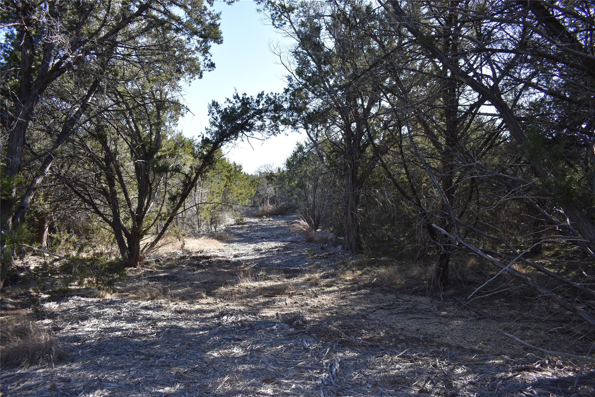 Lot 35 Riparian Elm Rd, Bertram, TX 78605
