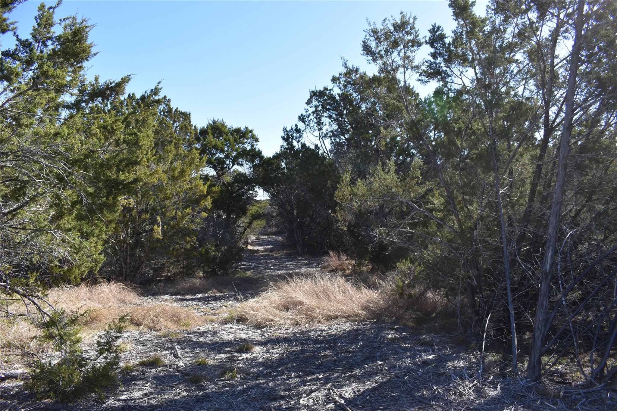 Lot 35 Riparian Elm Rd, Bertram, TX 78605