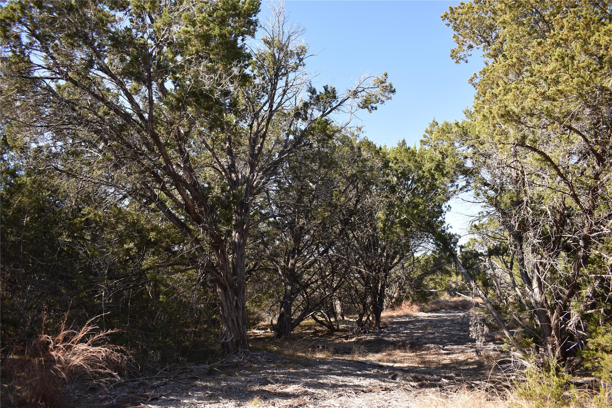 Lot 35 Riparian Elm Rd, Bertram, TX 78605