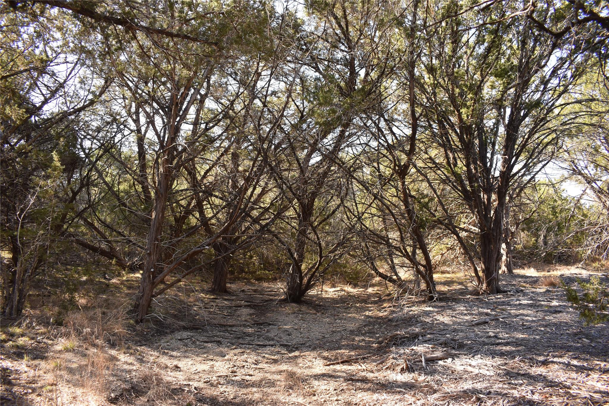 Lot 35 Riparian Elm Rd, Bertram, TX 78605