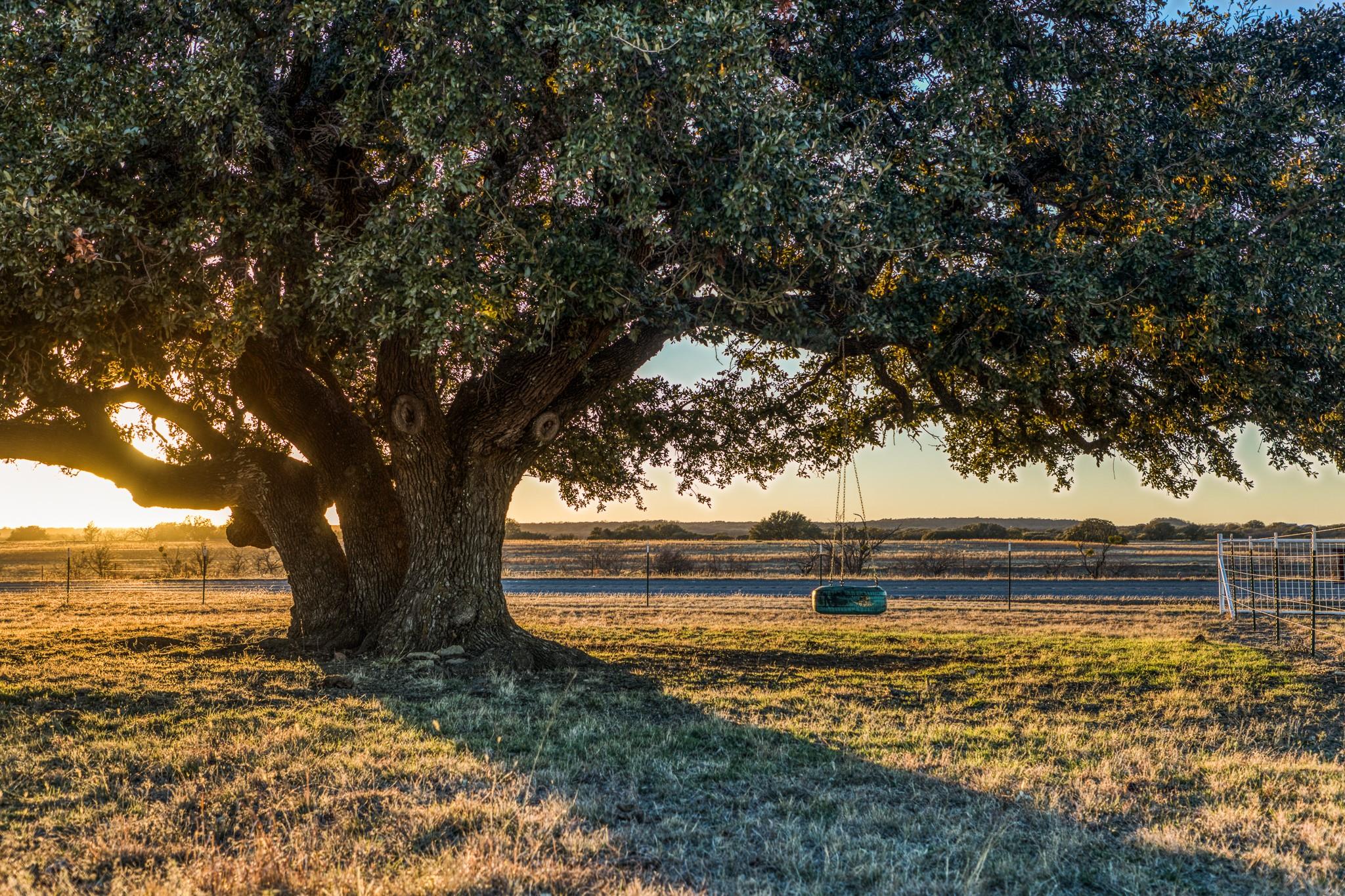 2387 Fm 503, Coleman, TX 76834