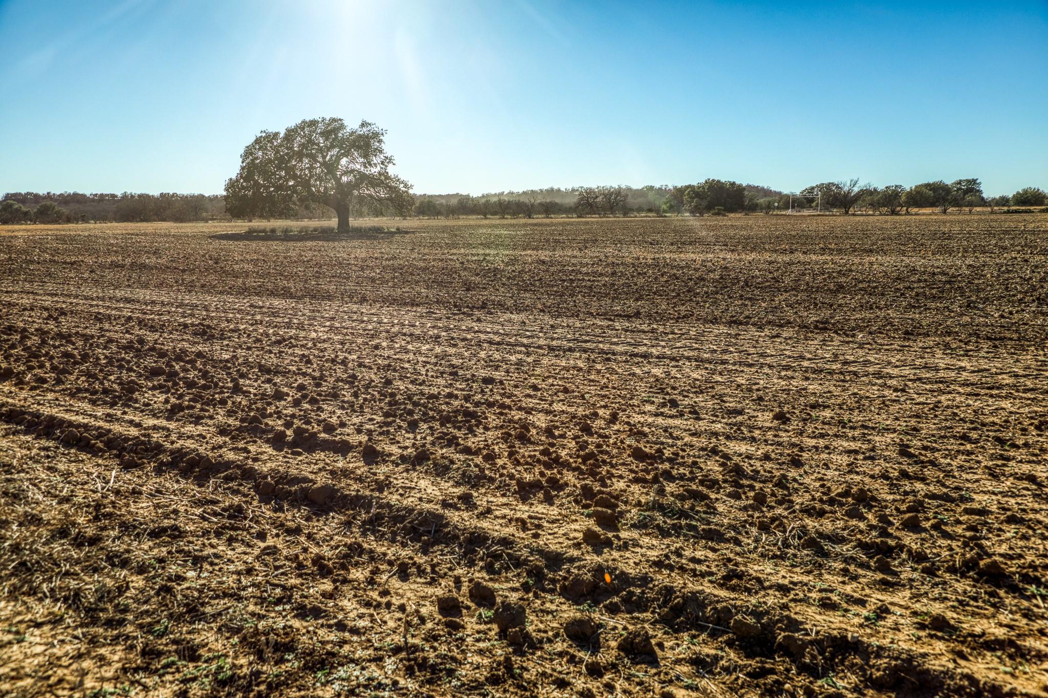 2387 Fm 503, Coleman, TX 76834