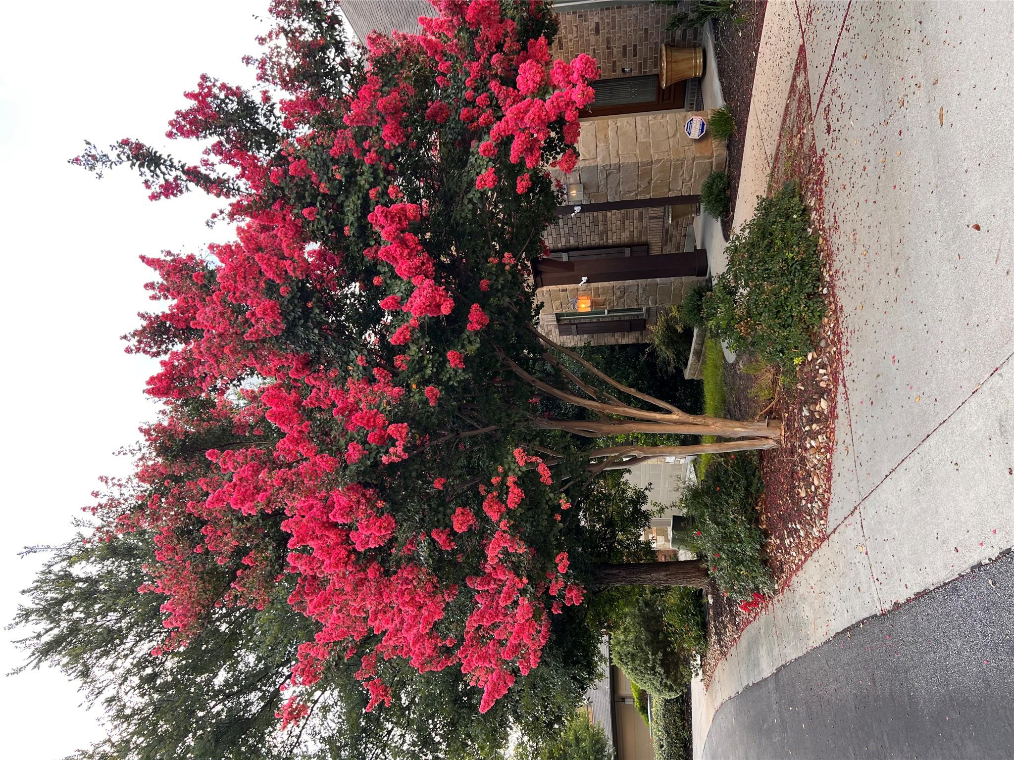 9550 Savannah Ridge Dr # 37, Austin, TX 78726