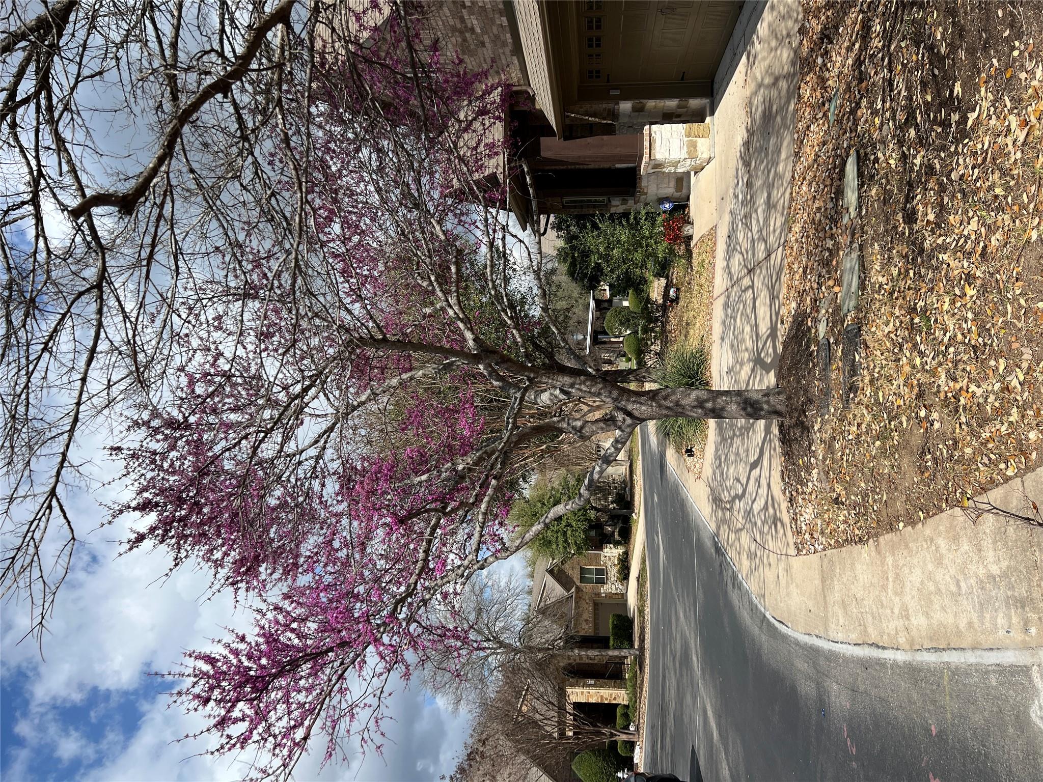 9550 Savannah Ridge Dr # 37, Austin, TX 78726