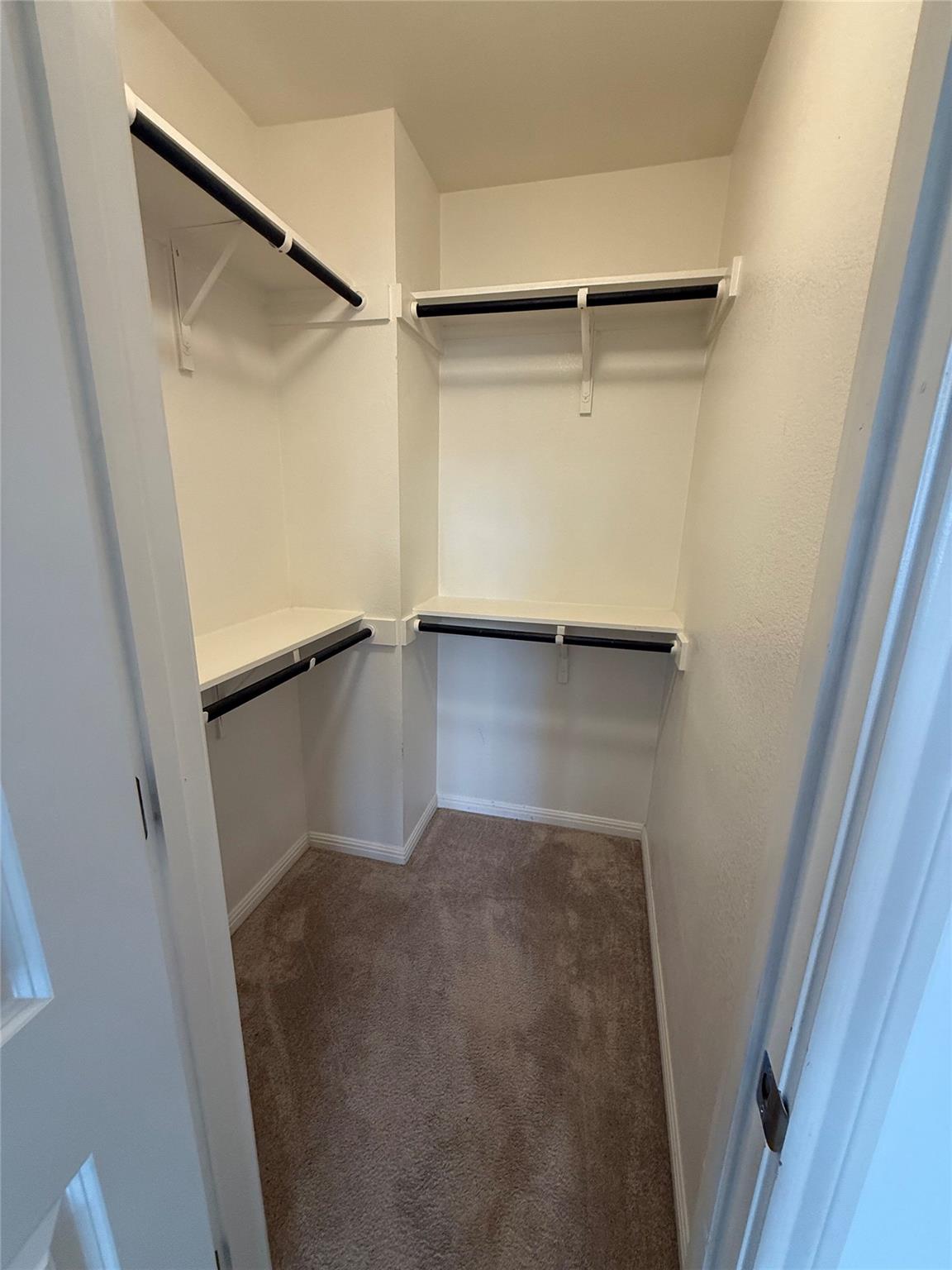 234 Spiny Lizard Ln, San Marcos, TX 78666