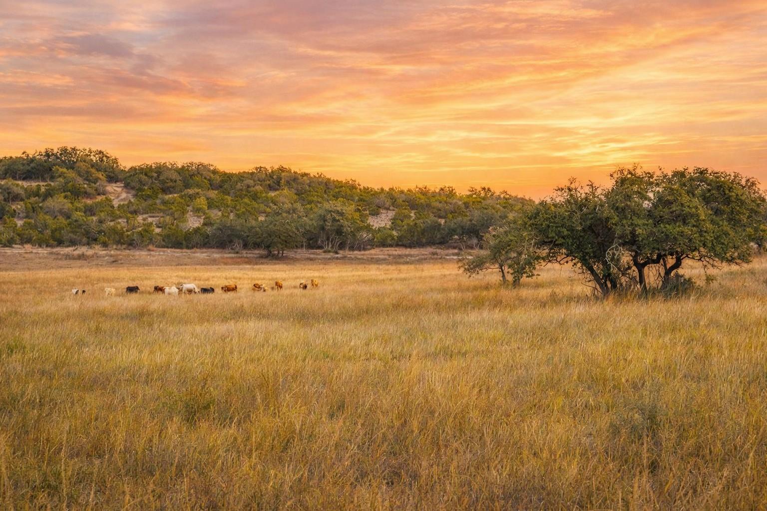 0 Clearwater Grotto, Wimberley, TX 78676