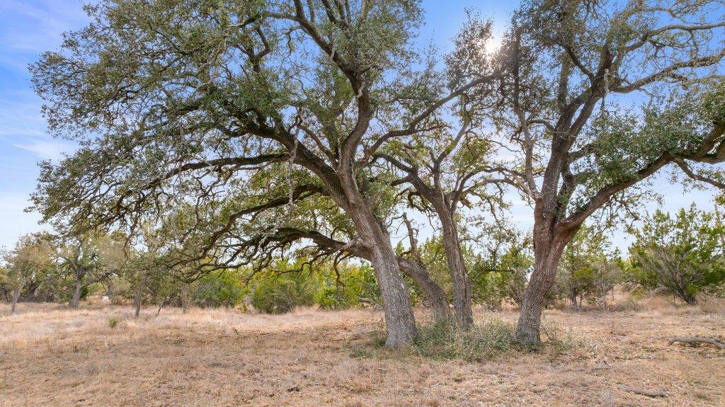 0 Clearwater Grotto, Wimberley, TX 78676