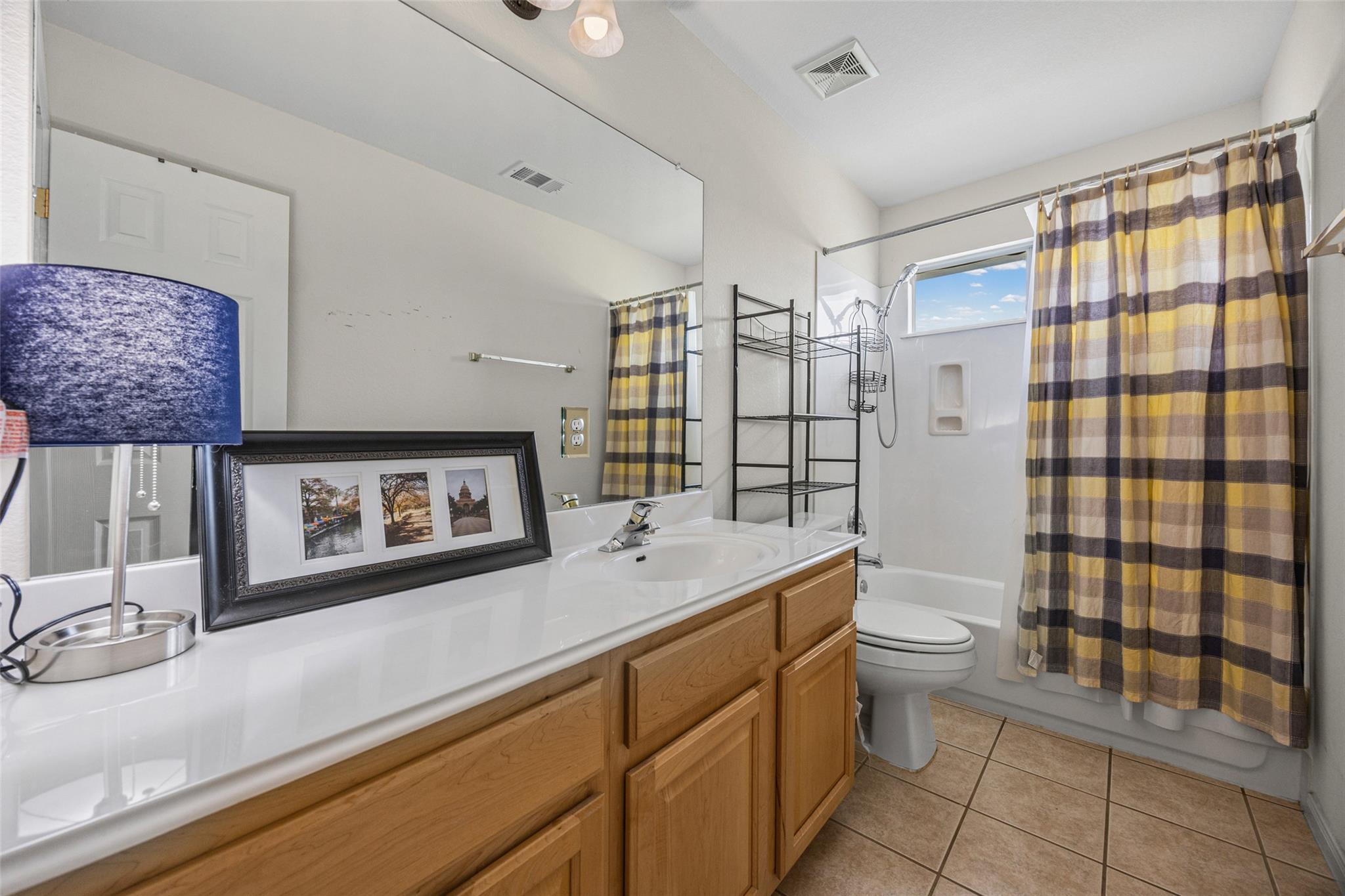 16902 Brewer Blackbird Dr, Pflugerville, TX 78660