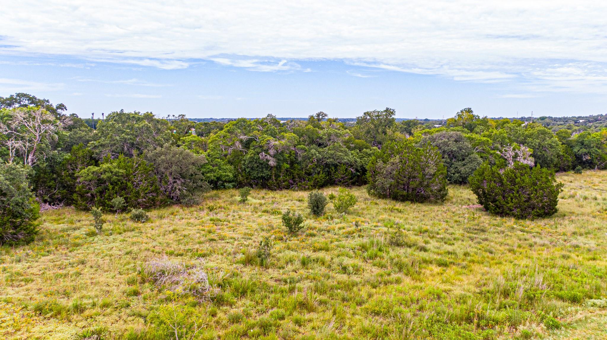 420 Onion Creek Ln, Driftwood, TX 78619