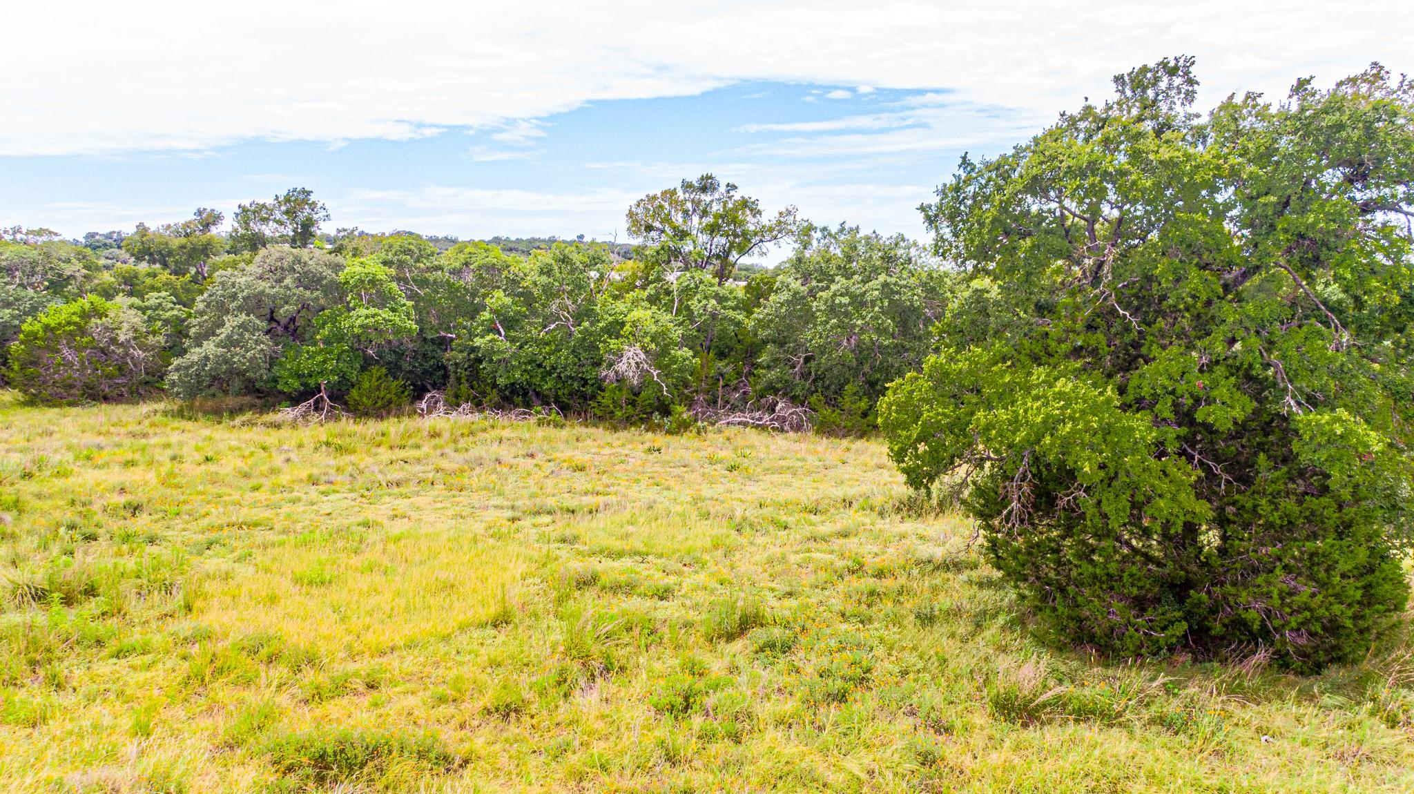 440 Onion Creek Ln, Driftwood, TX 78619