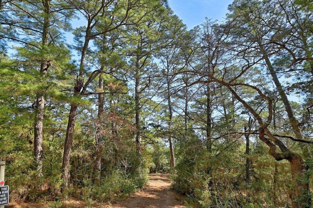 500 Pine Valley Loop, Smithville, TX 78957