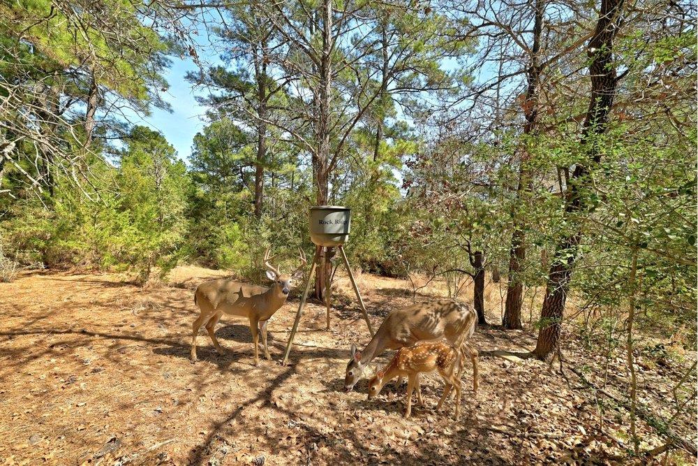 500 Pine Valley Loop, Smithville, TX 78957