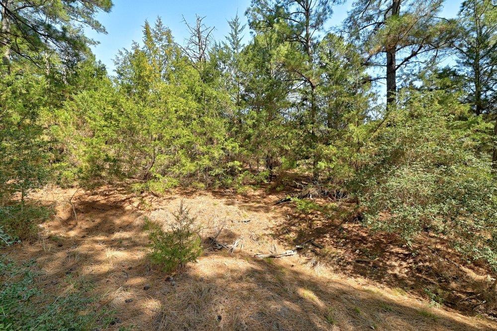 500 Pine Valley Loop, Smithville, TX 78957