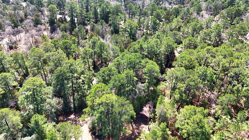 500 Pine Valley Loop, Smithville, TX 78957