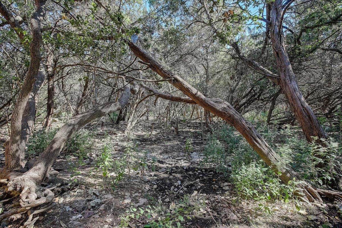 4711 Spicewood Springs Rd # 2-112, Austin, TX 78759