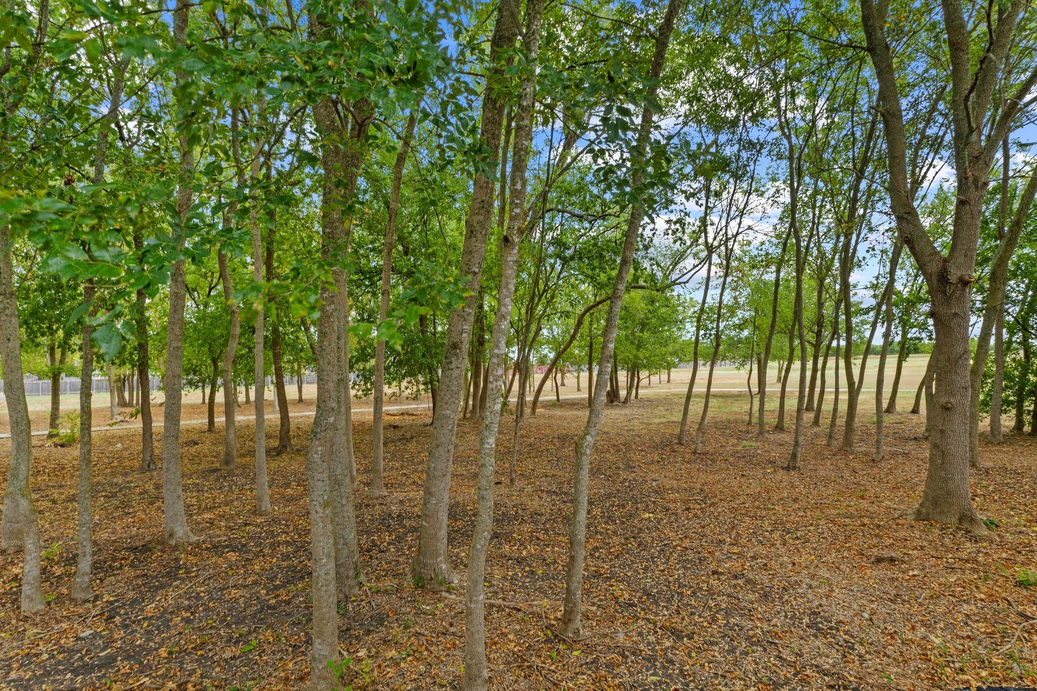 1020 Portchester Castle Path, Pflugerville, TX 78660