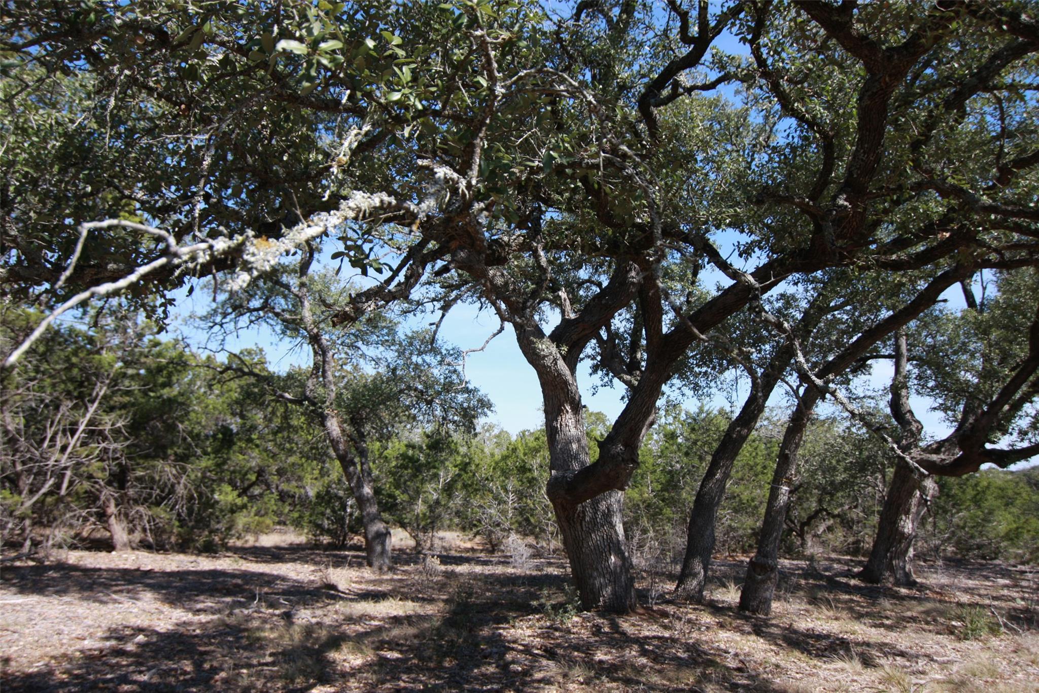 150 Patricks Way, Dripping Springs, TX 78620