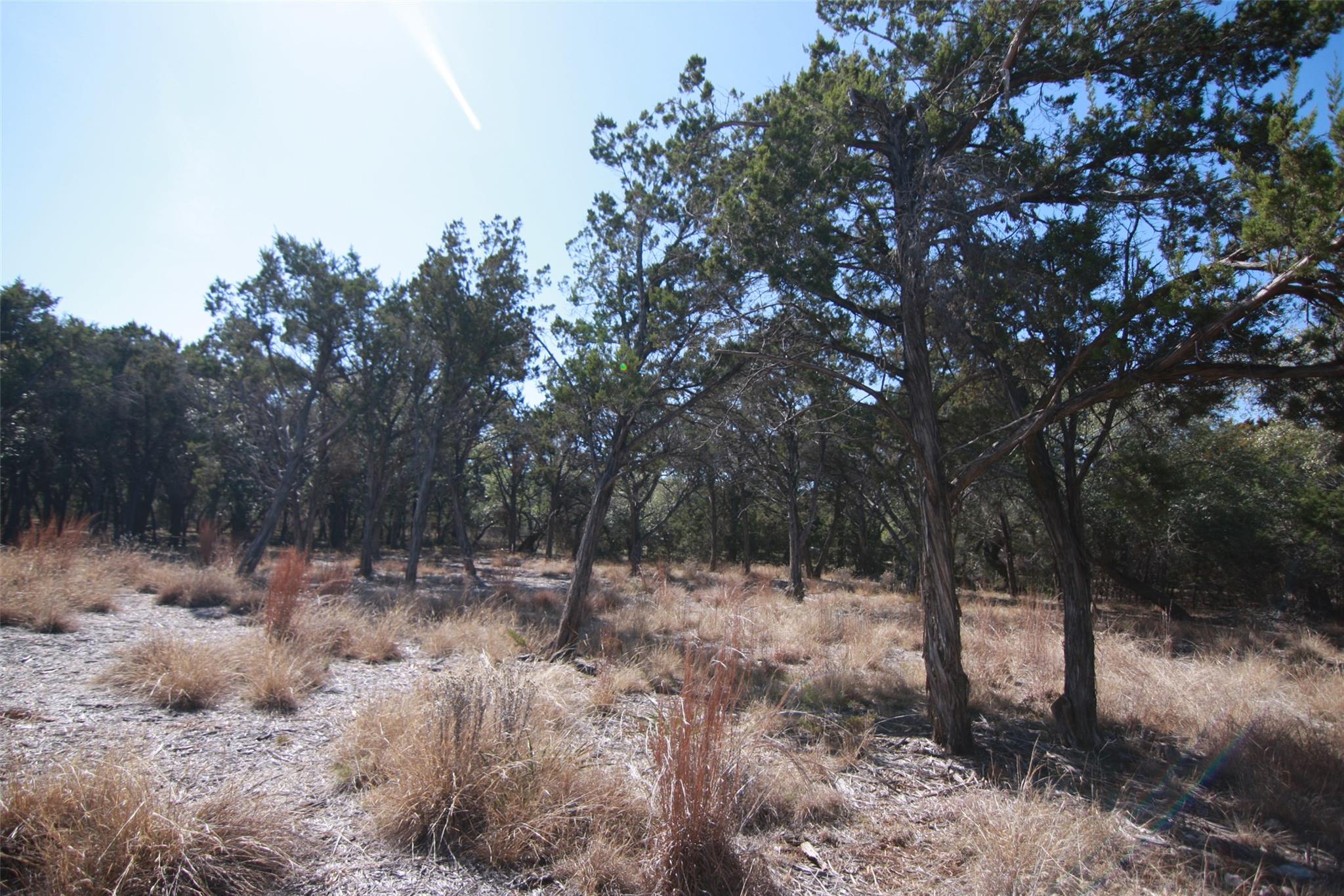 150 Patricks Way, Dripping Springs, TX 78620