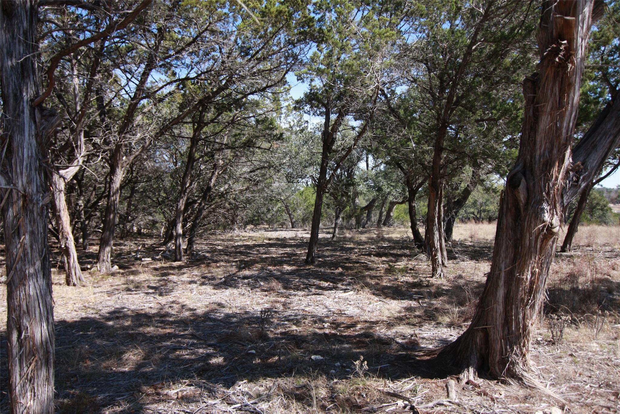 150 Patricks Way, Dripping Springs, TX 78620