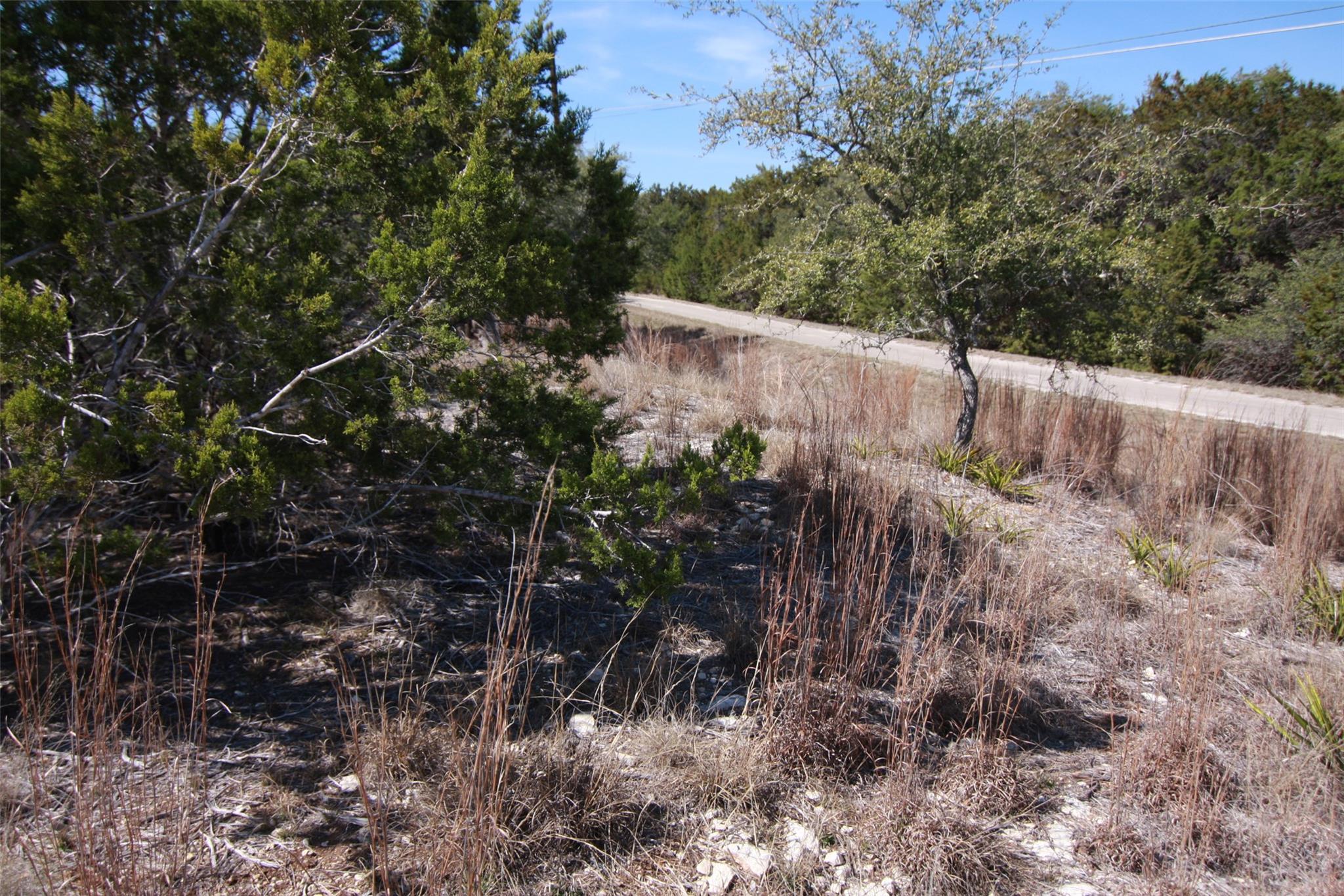 150 Patricks Way, Dripping Springs, TX 78620