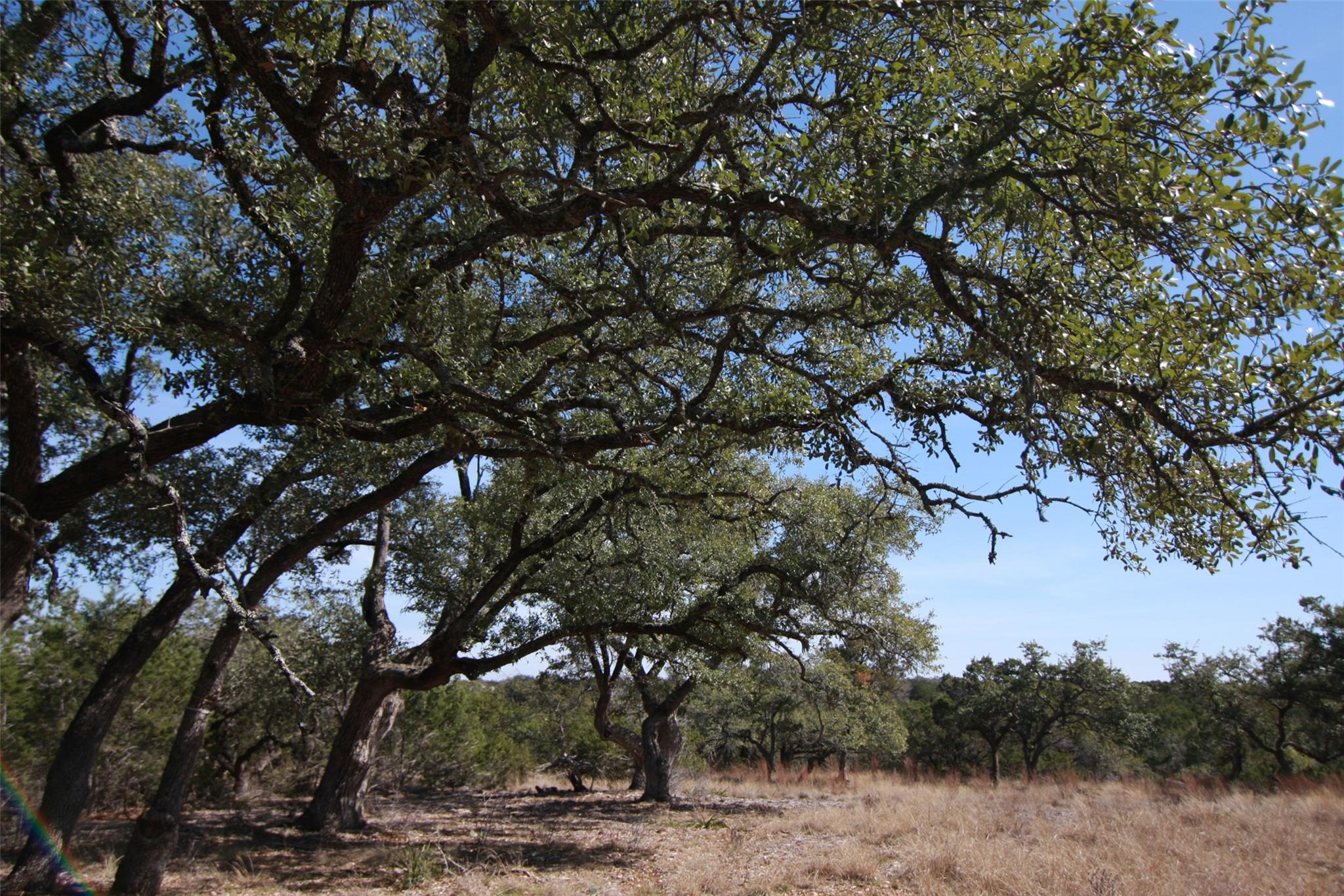 150 Patricks Way, Dripping Springs, TX 78620