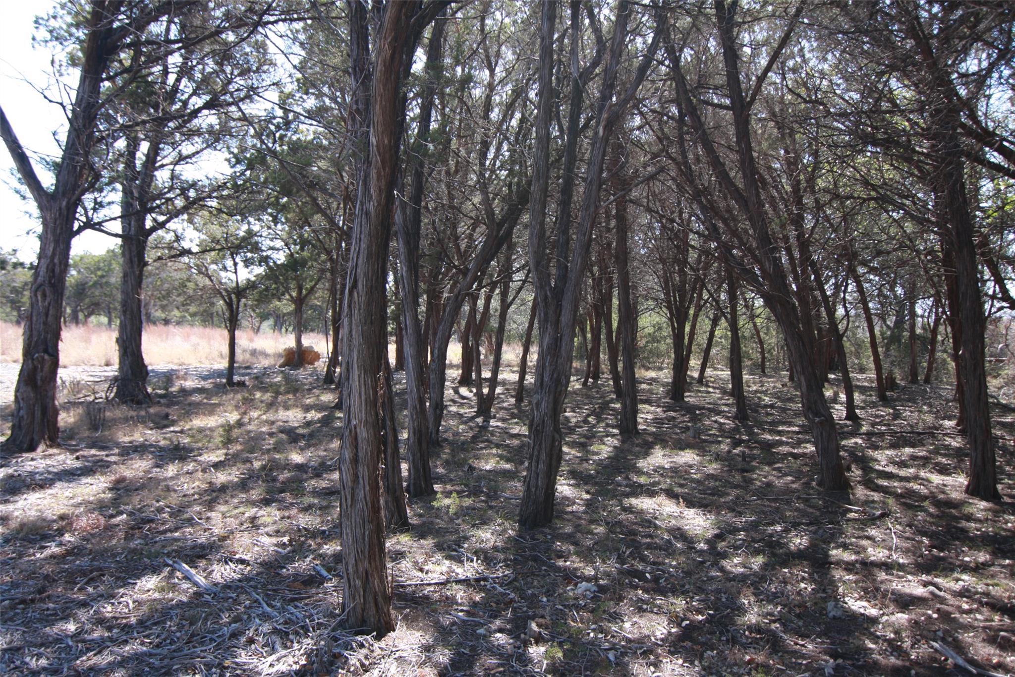 150 Patricks Way, Dripping Springs, TX 78620