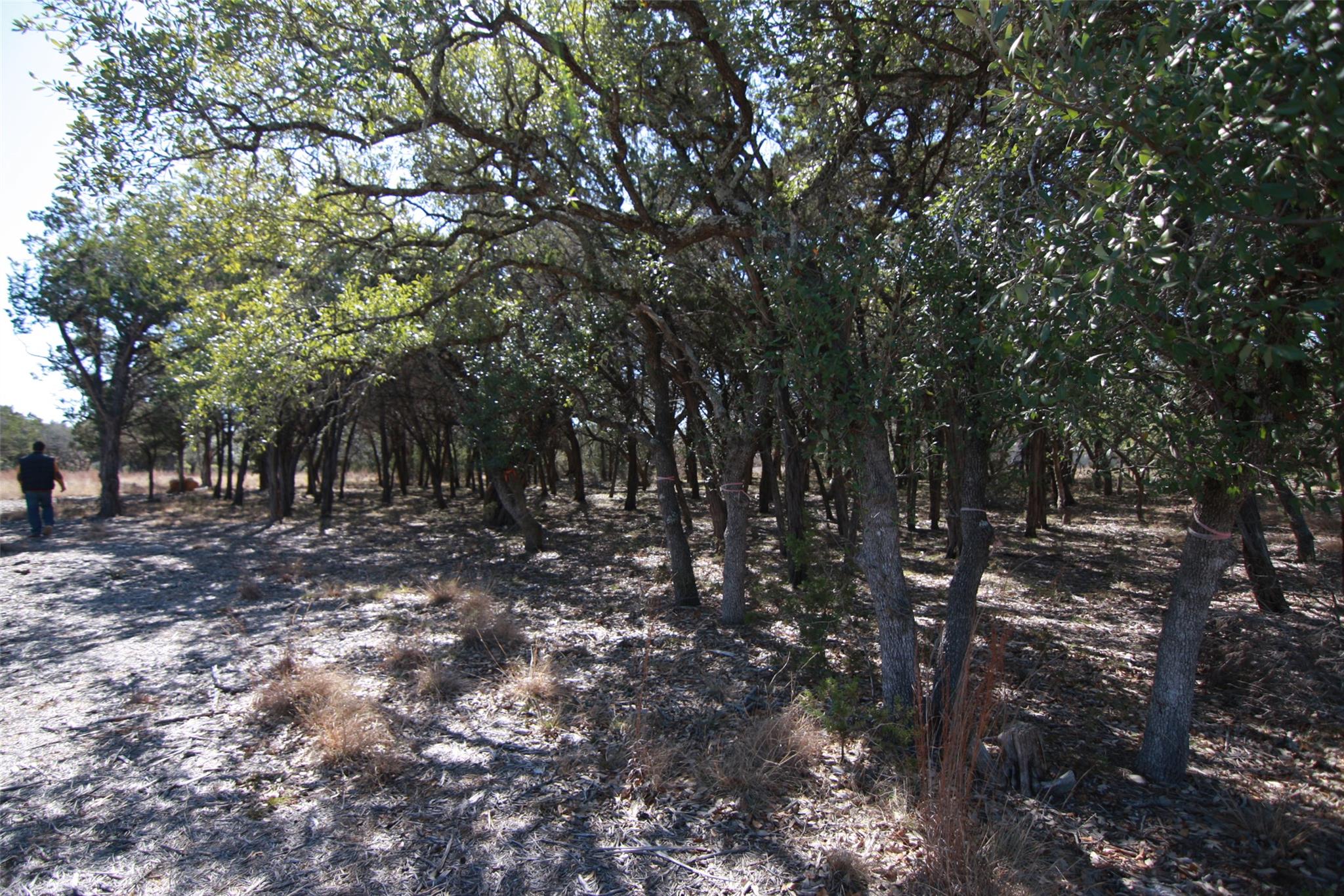 150 Patricks Way, Dripping Springs, TX 78620