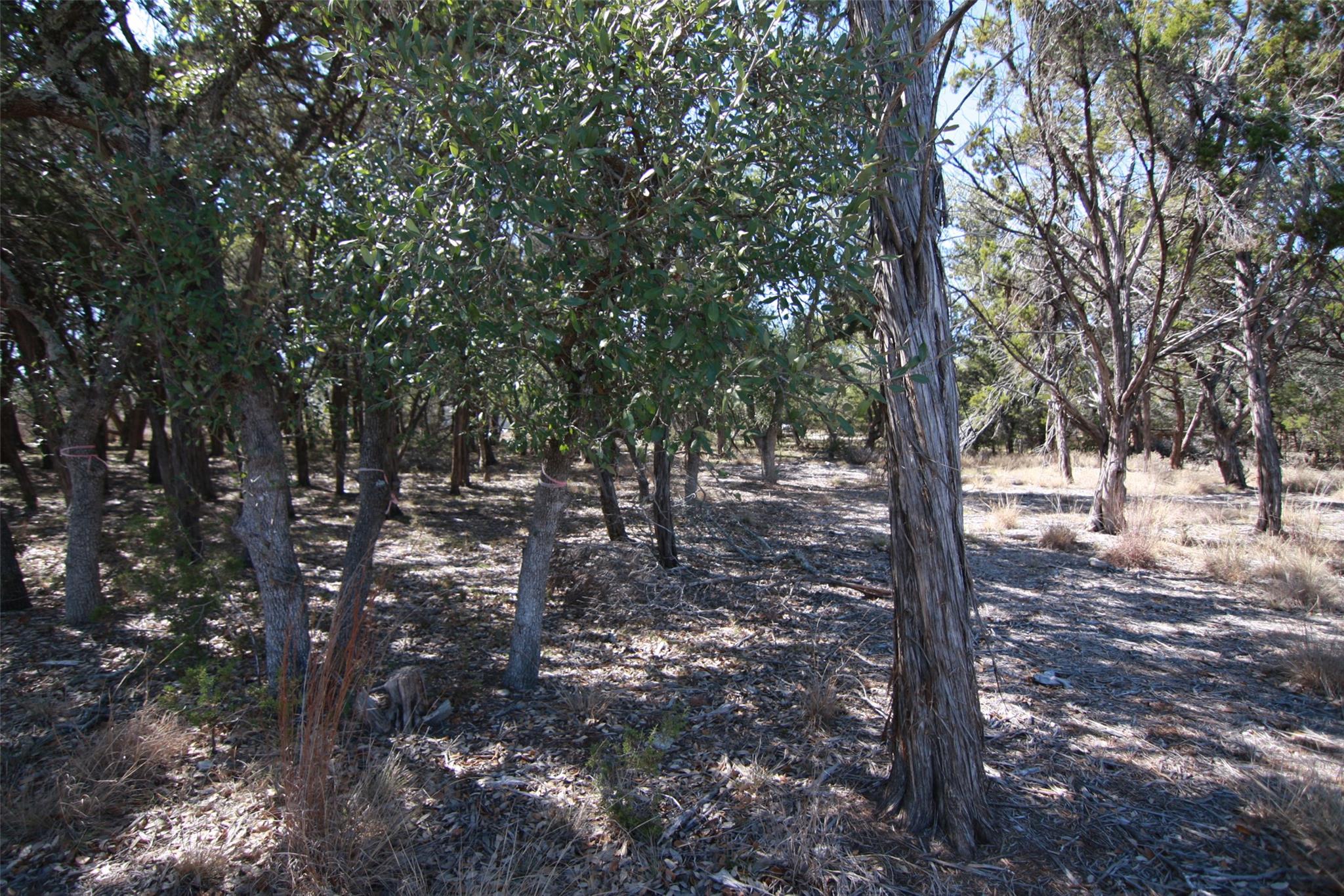 150 Patricks Way, Dripping Springs, TX 78620