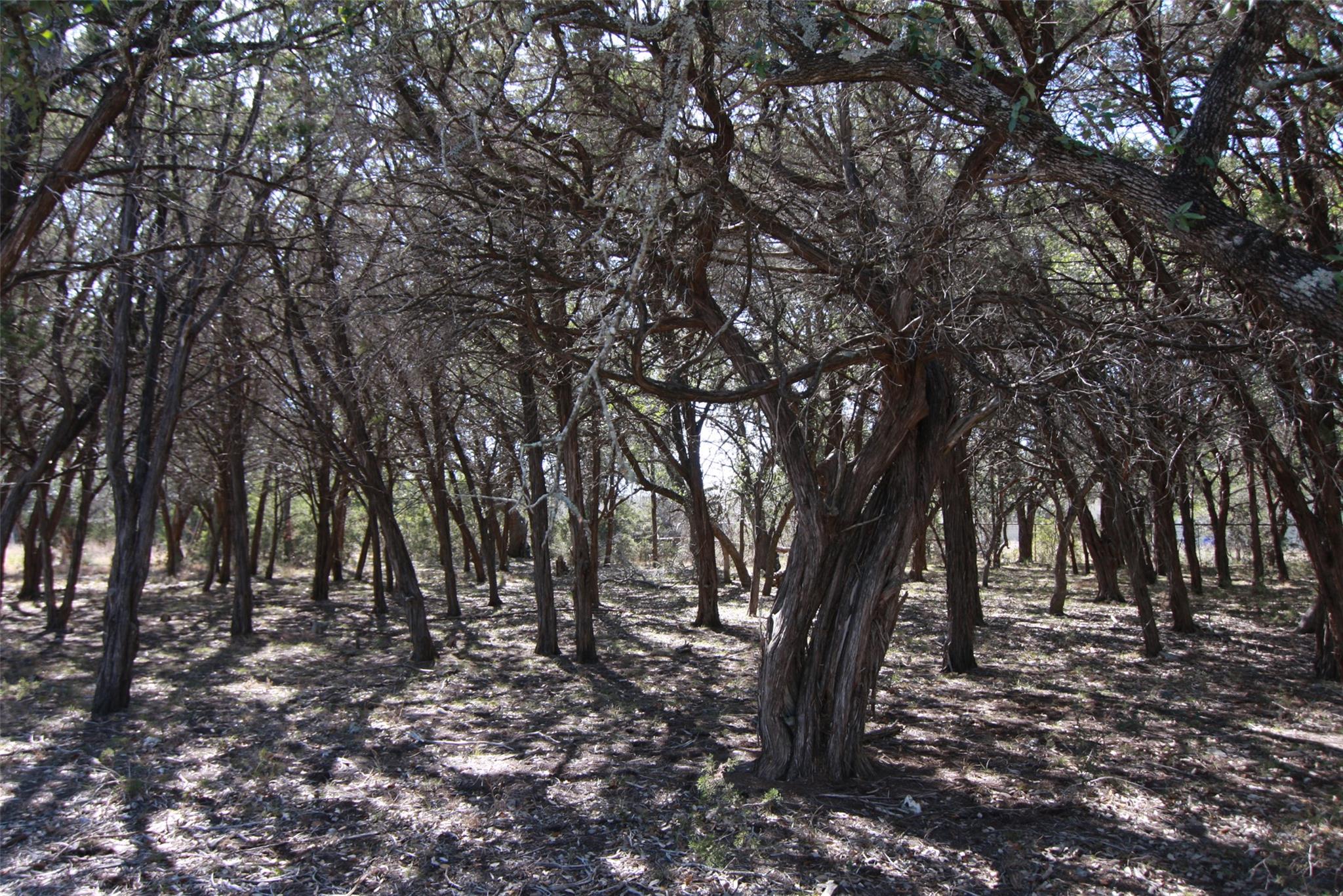 150 Patricks Way, Dripping Springs, TX 78620