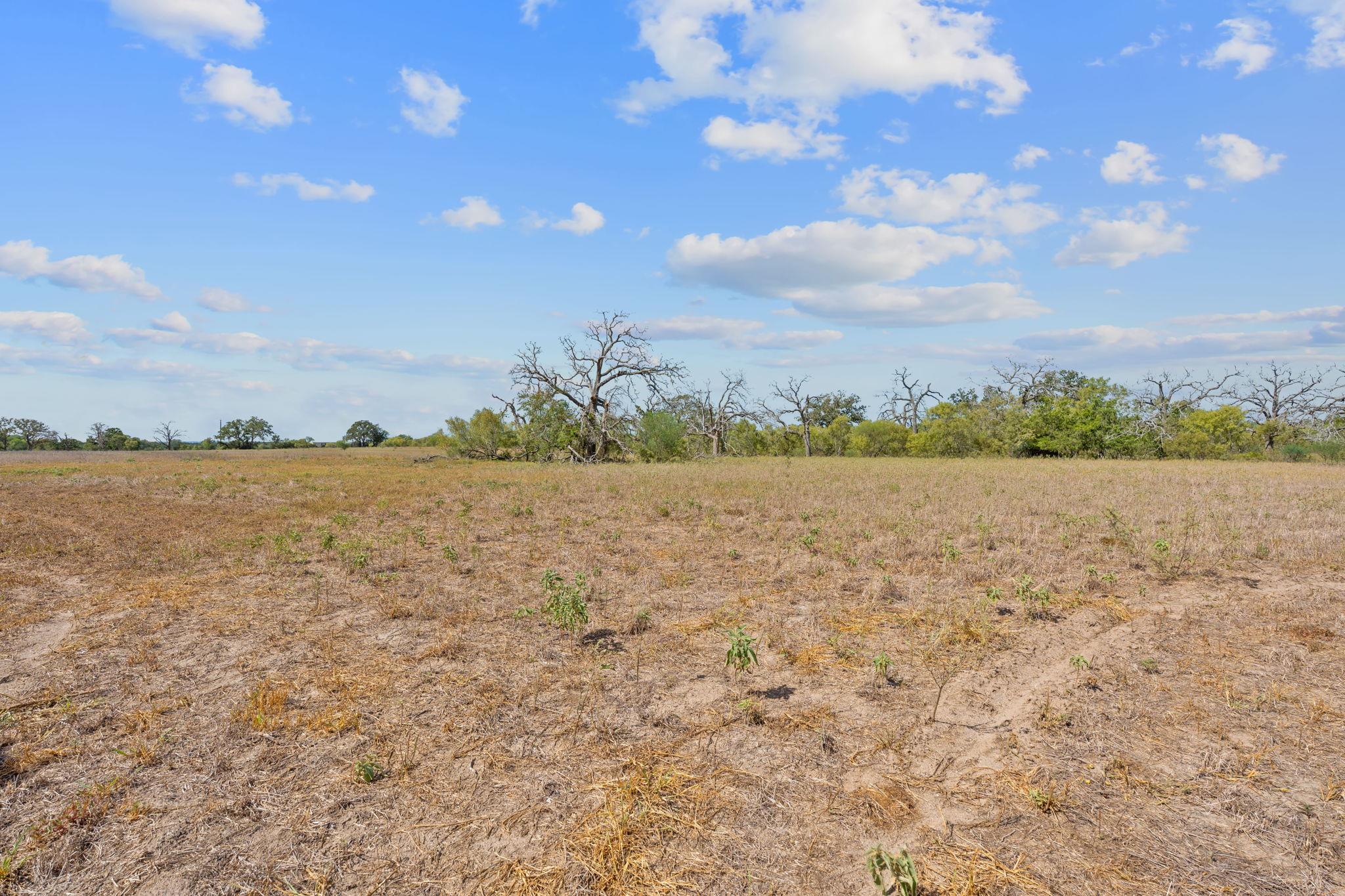 1177 County Road 402, Flatonia, TX 78941