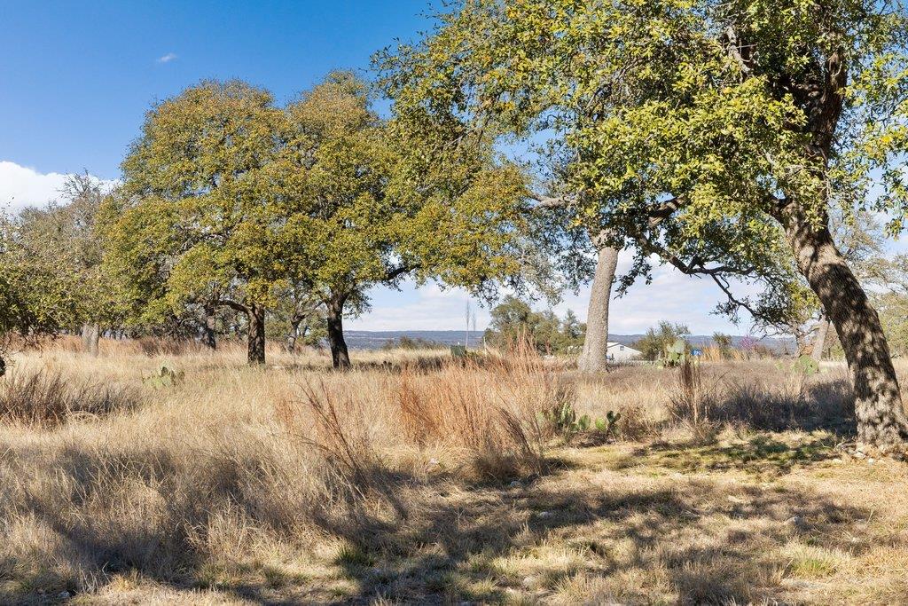 990 Axis Cir, Fredericksburg, TX 78624